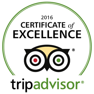 Сertificate of excellence 2016