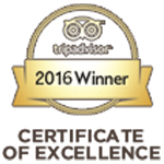 award-1