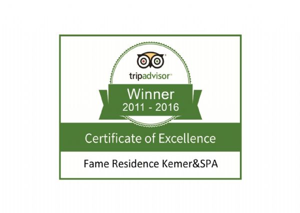 Certificate of Excellence Winner 2011-2016