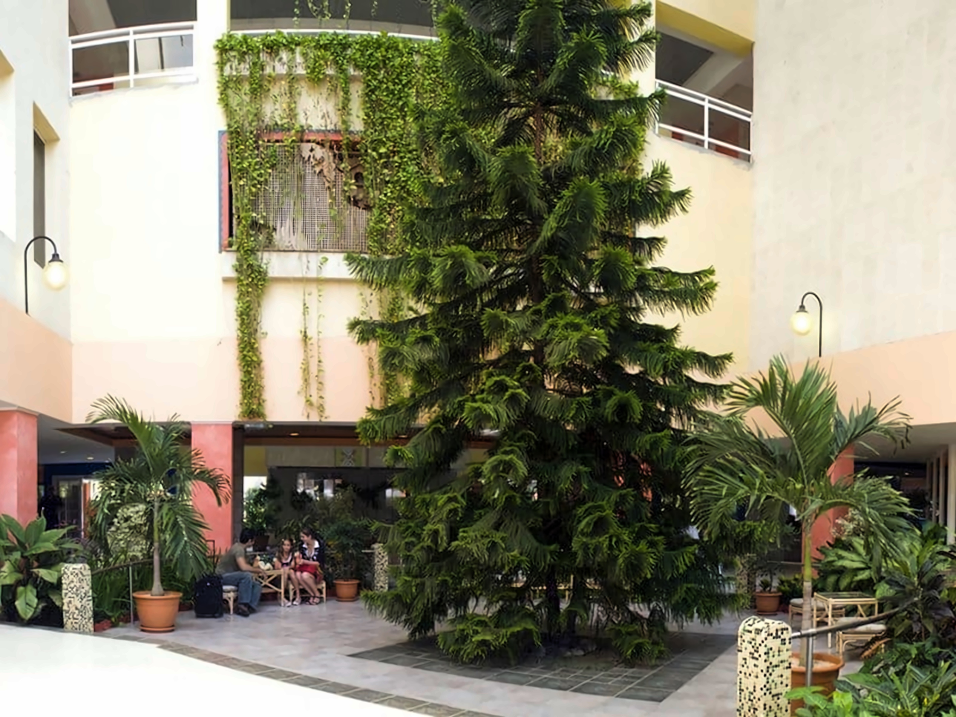 Occidental Arenas Blancas pilt 4