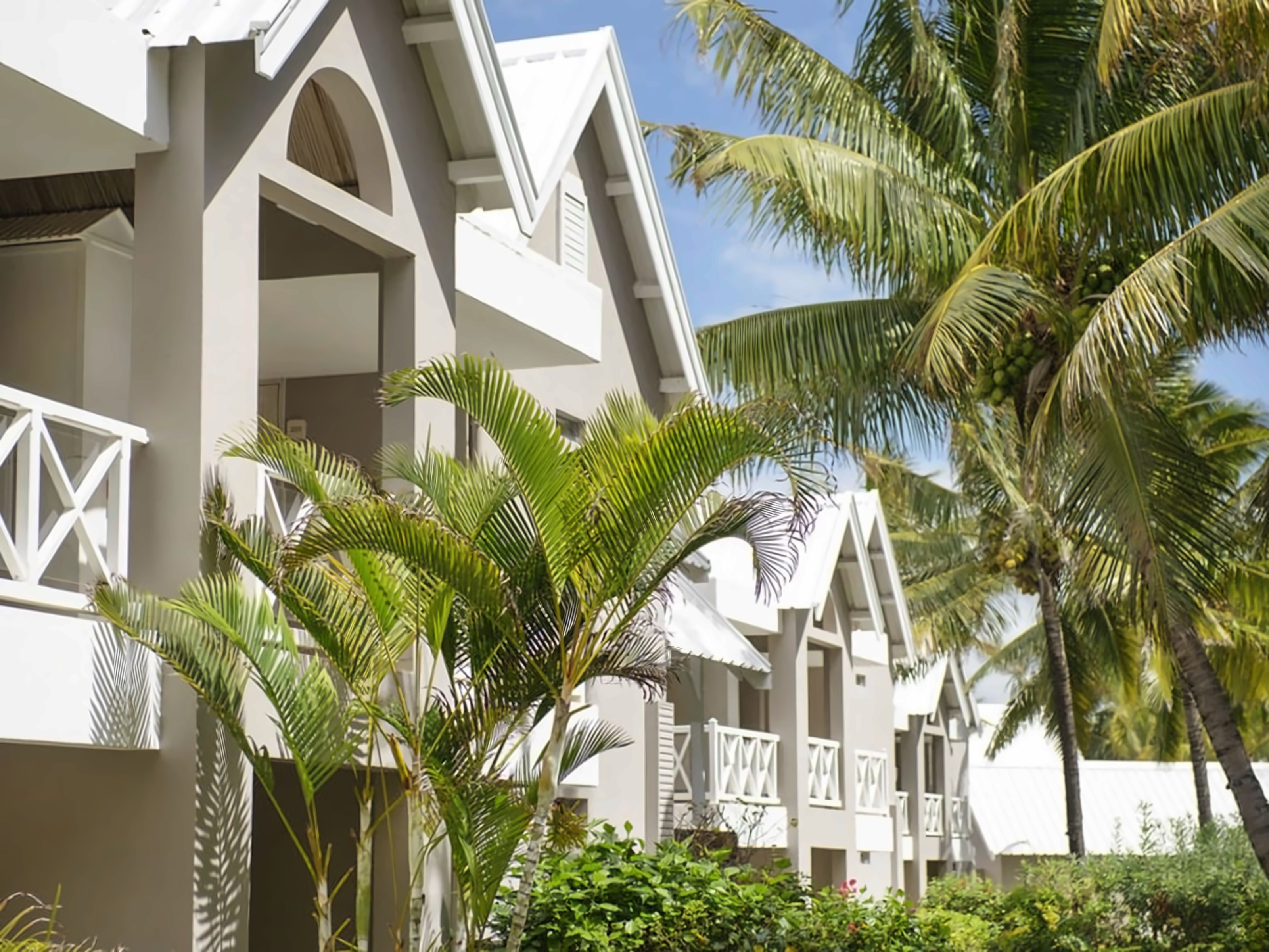 Le Tropical Attitude photo 1