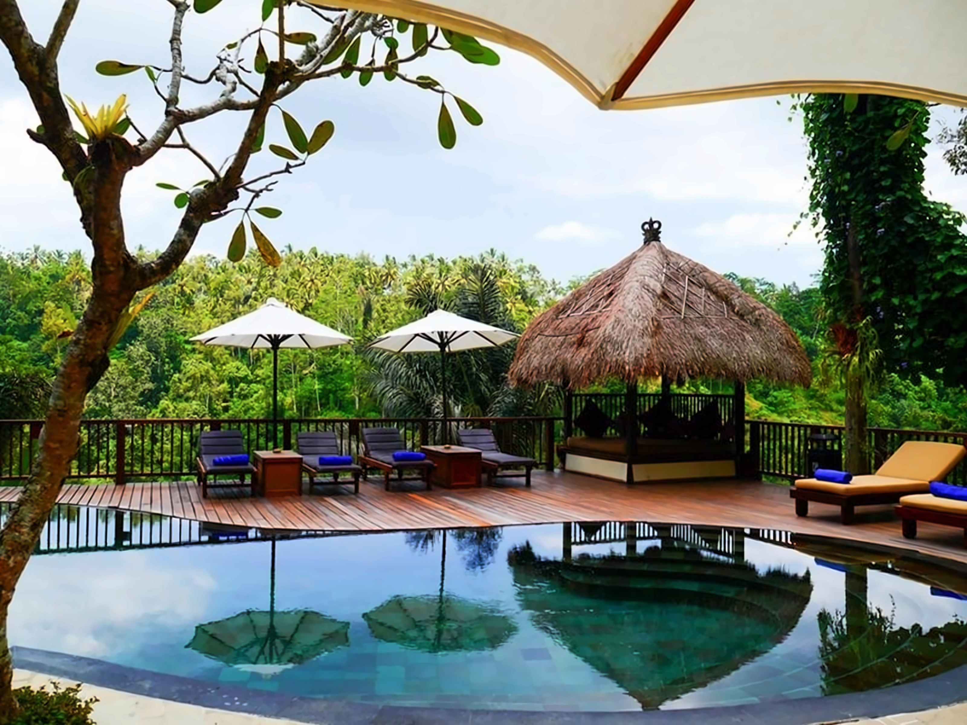 Nandini Ubud photo 2