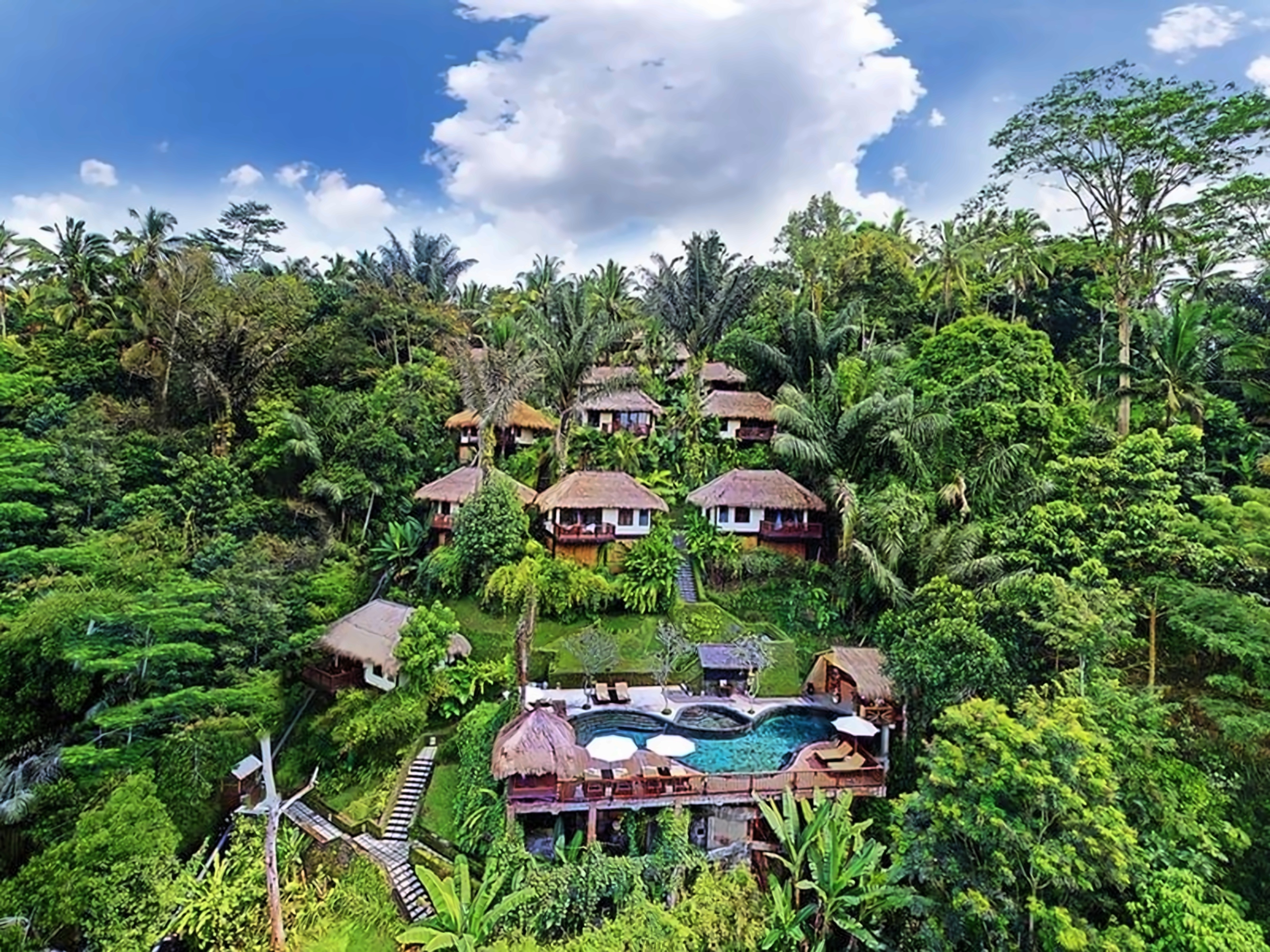 Nandini Ubud photo 1