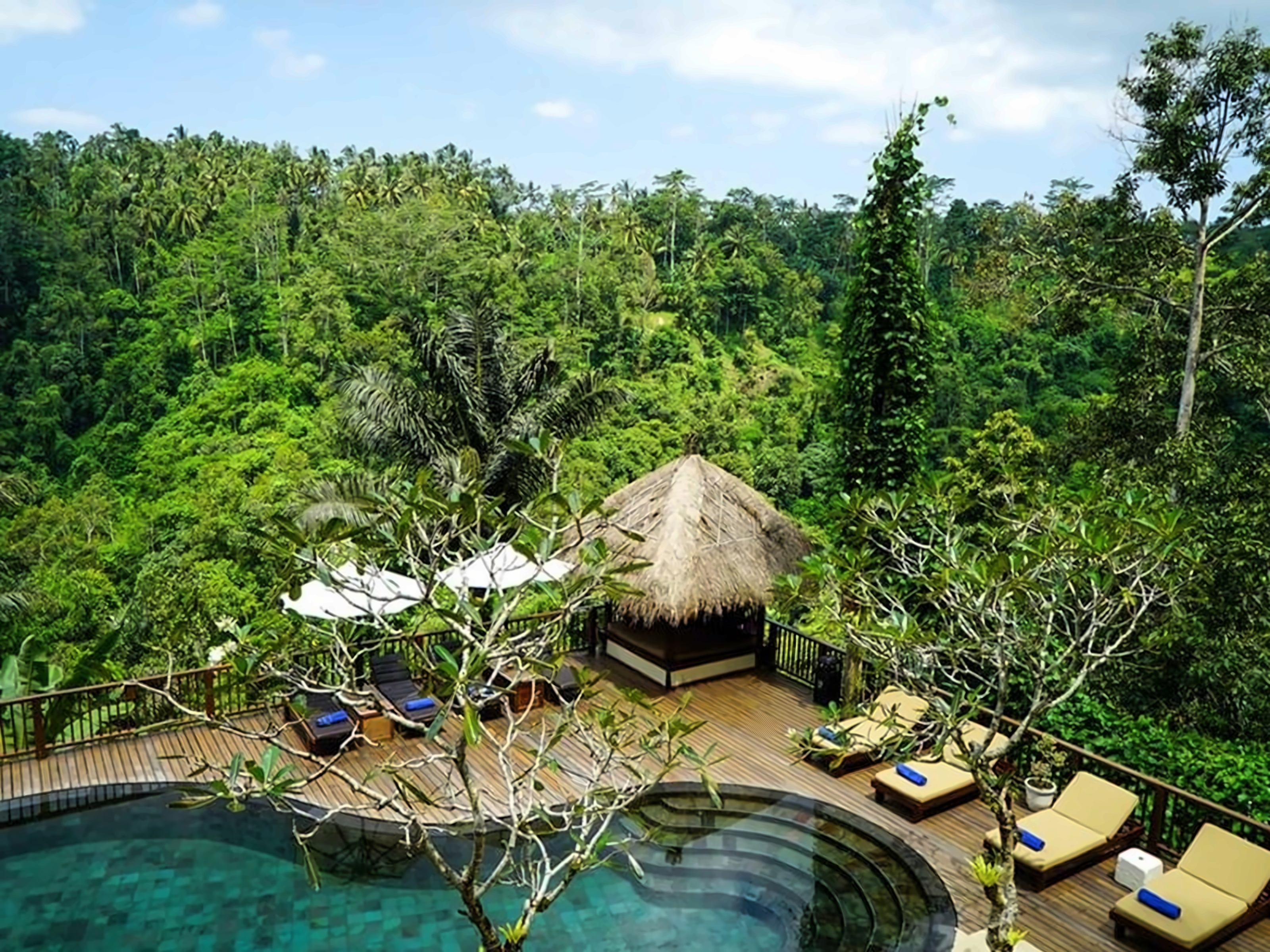 Nandini Ubud photo 6