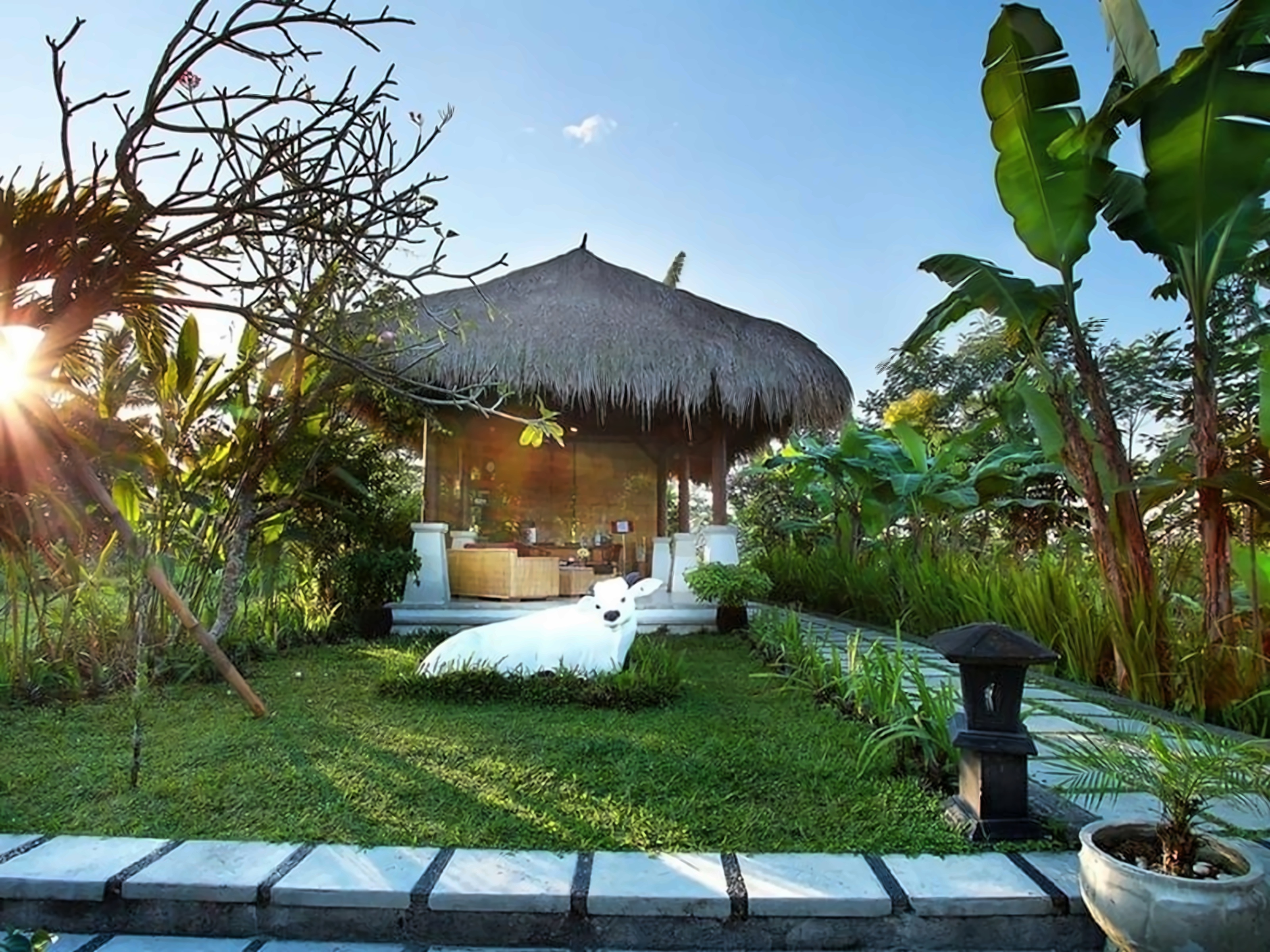 Nandini Ubud photo 7