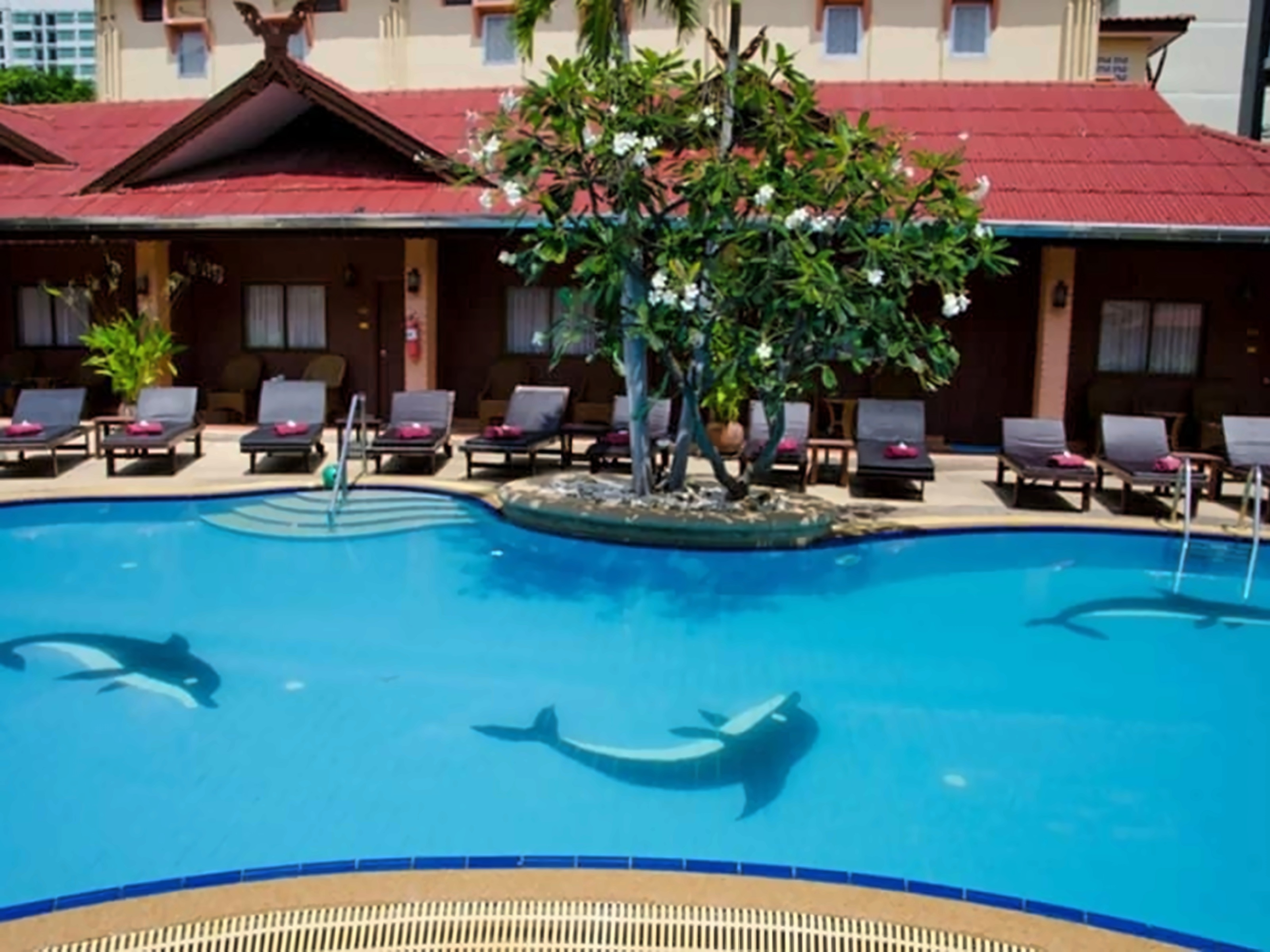 Sabai Lodge attēls 6