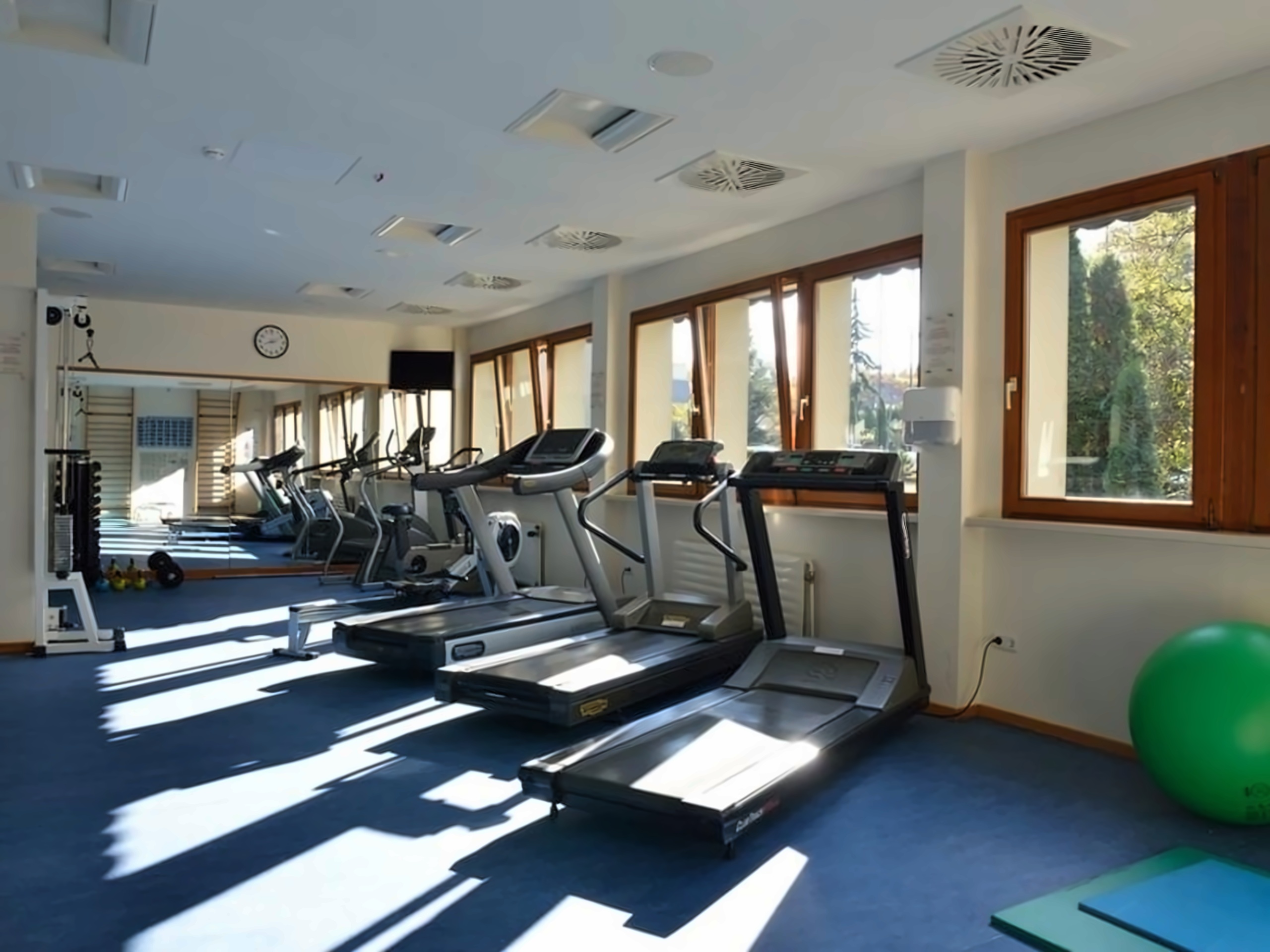 Ensana Thermal Heviz (ex.Danubius Health Spa Resort Heviz) photo 51
