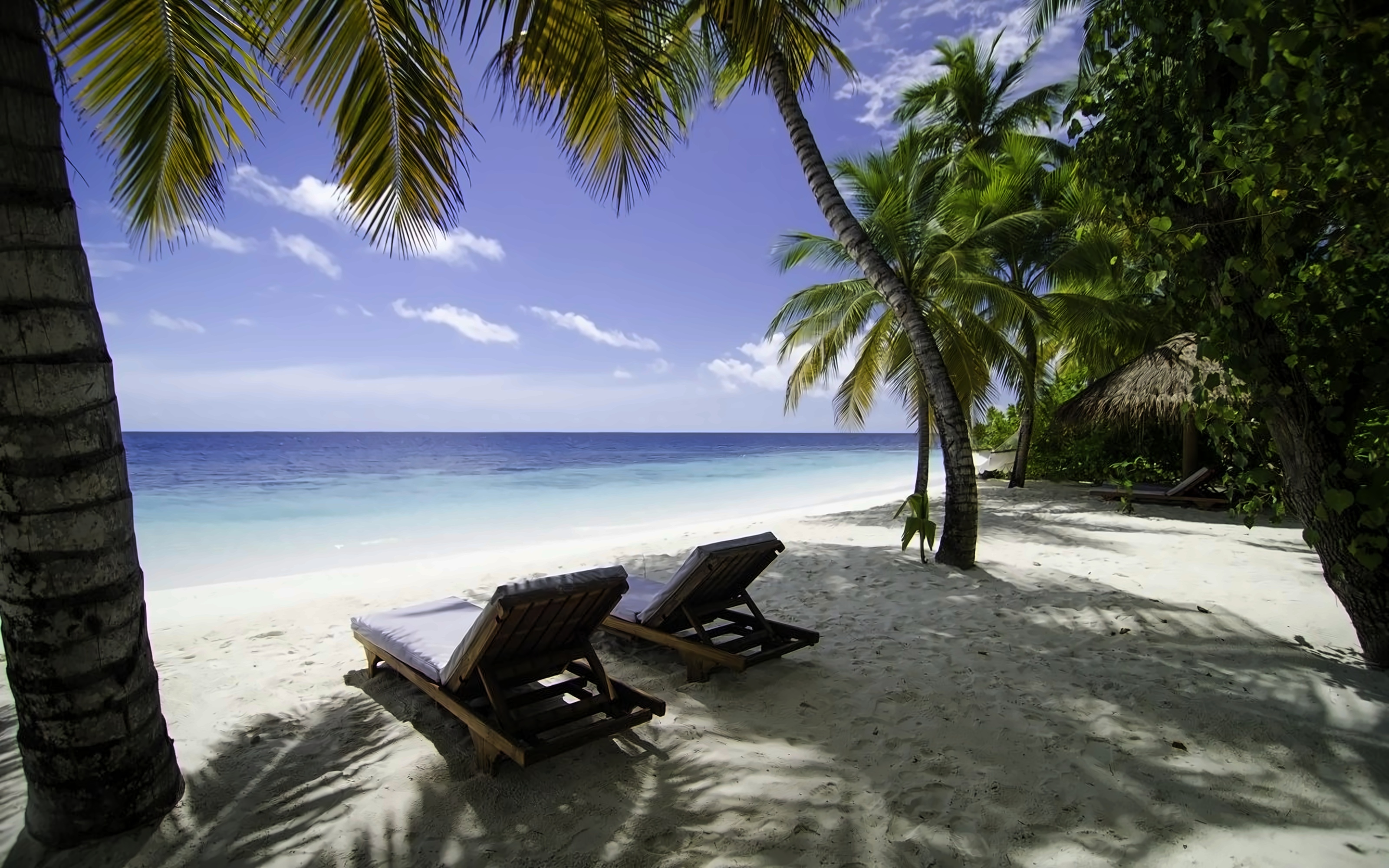 Mirihi Island Resort photo 84