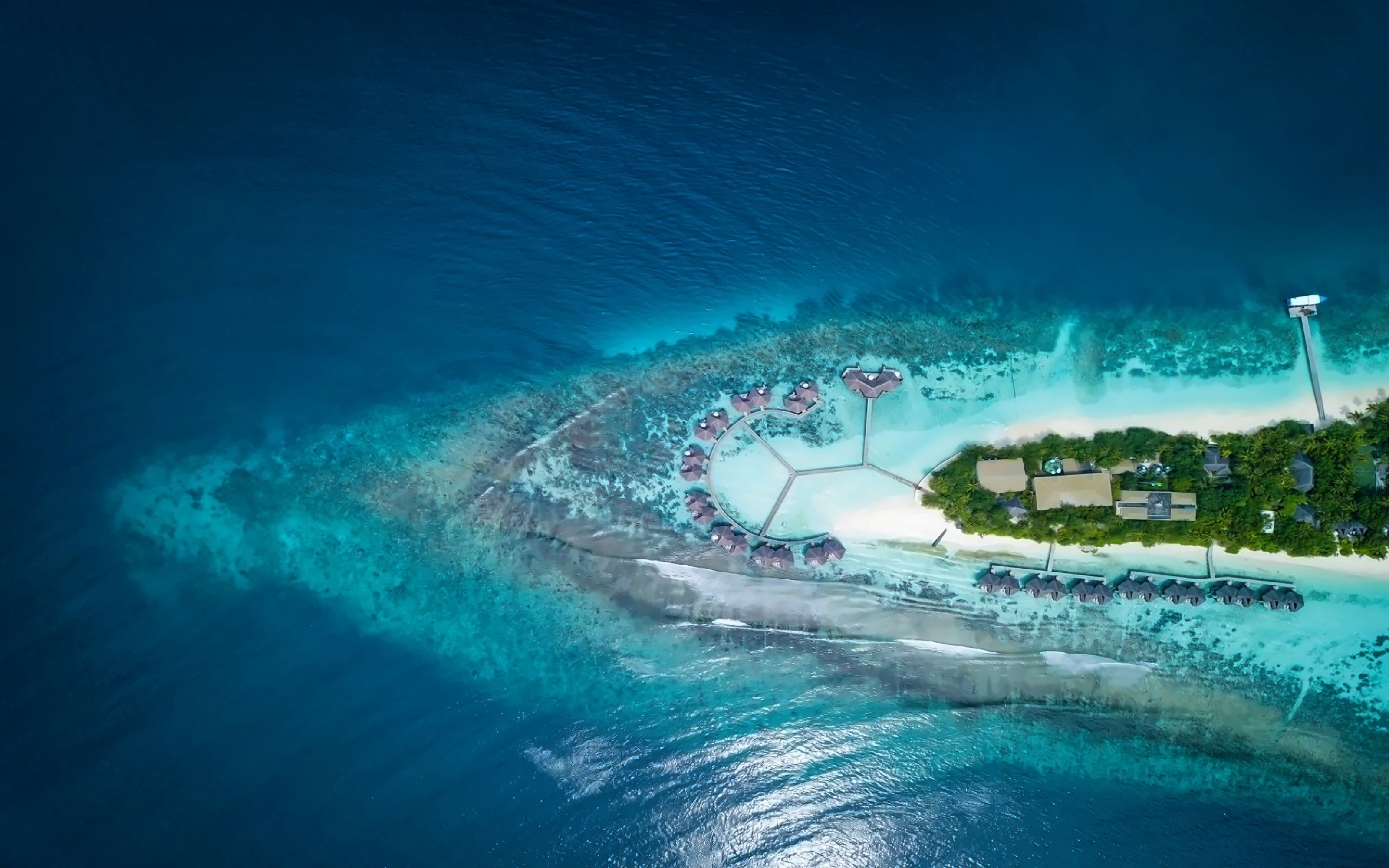 Mirihi Island Resort photo 7