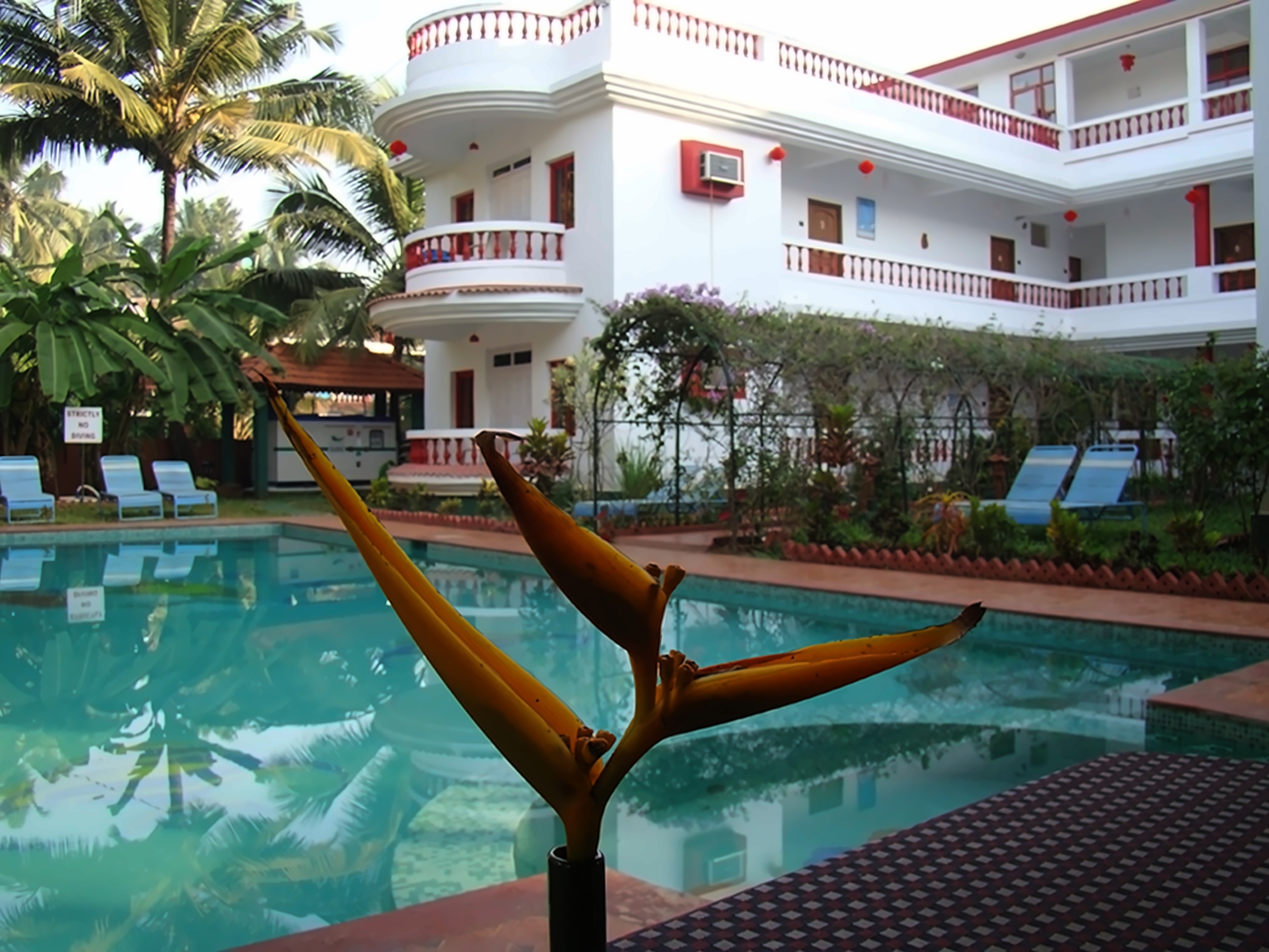 Hotel Cary's photo 3
