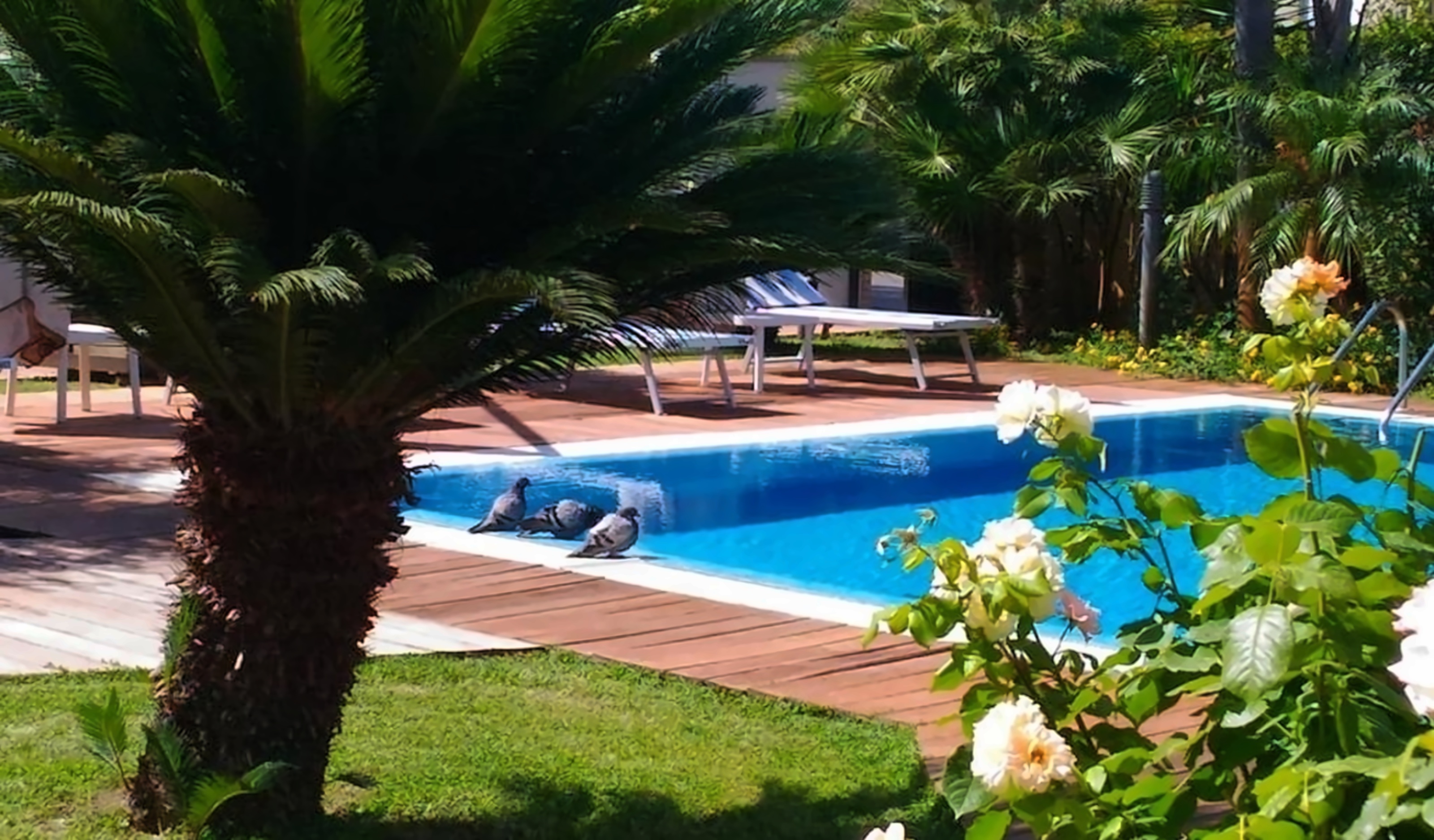 Hotel Albatros photo 3