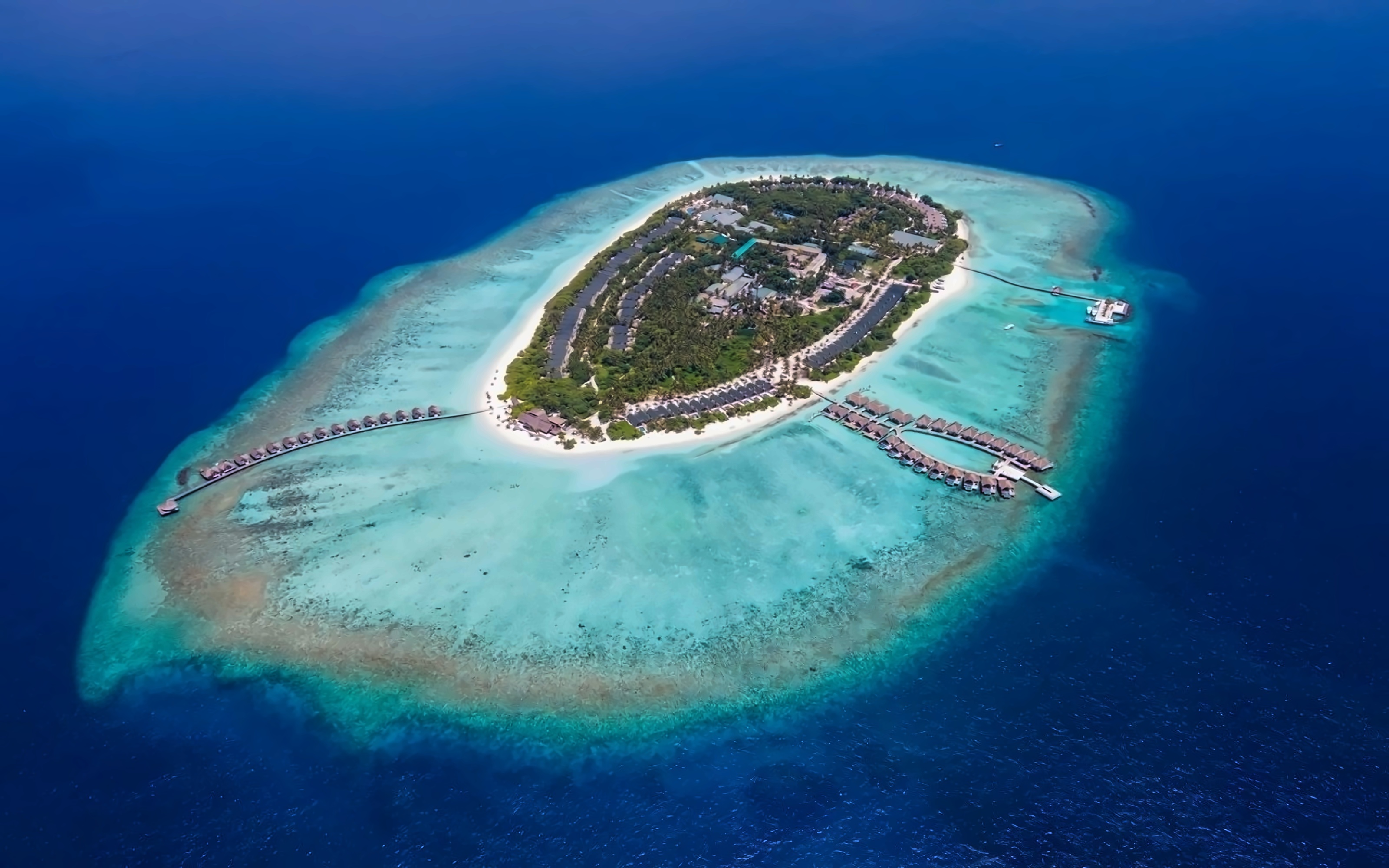 Furaveri Island Resort photo 1