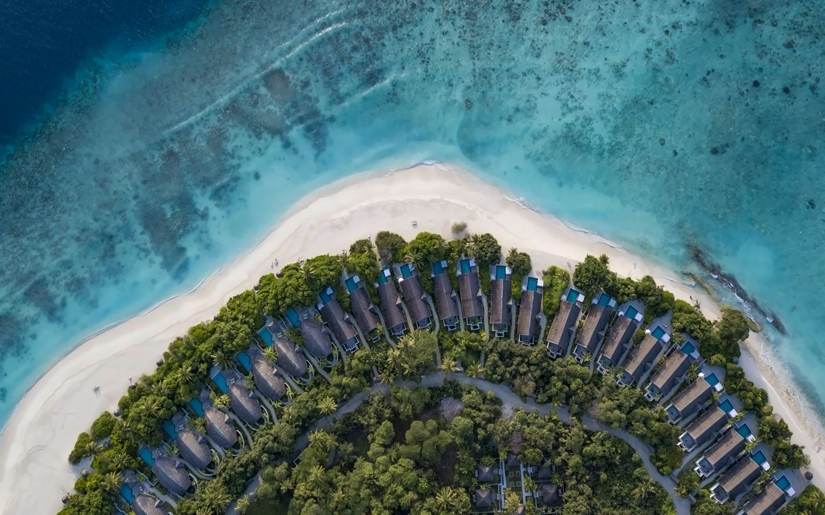 Furaveri Island Resort photo 3