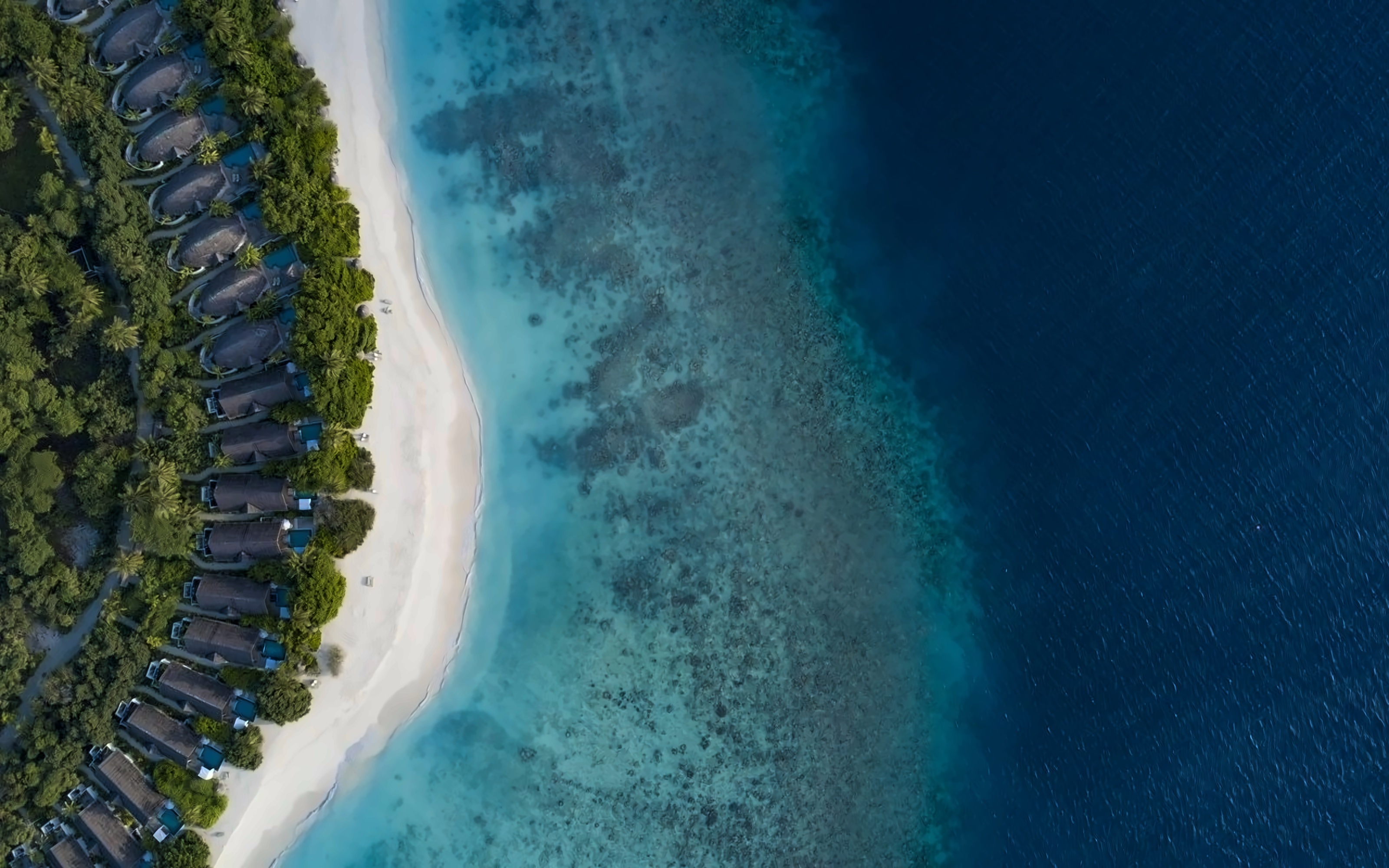 Furaveri Island Resort photo 4