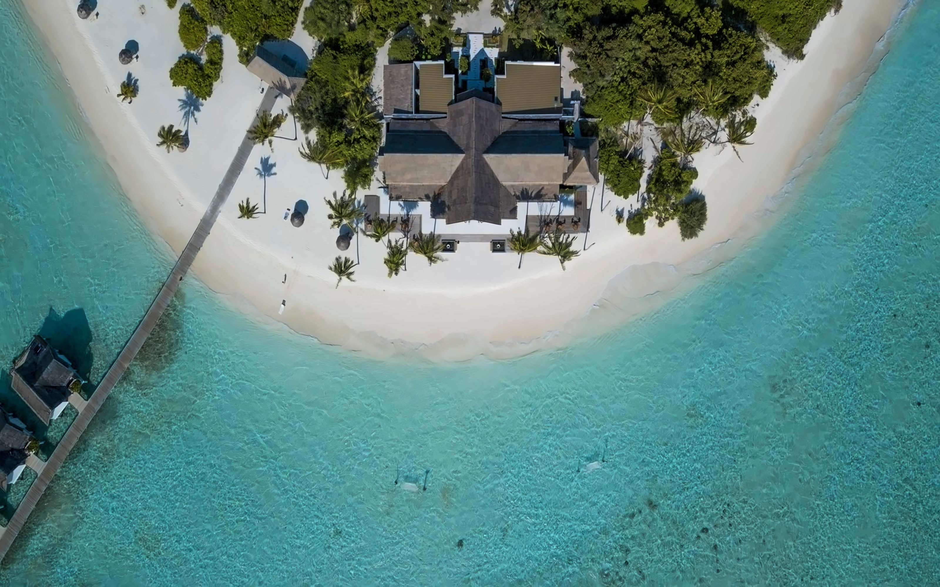 Furaveri Island Resort photo 5