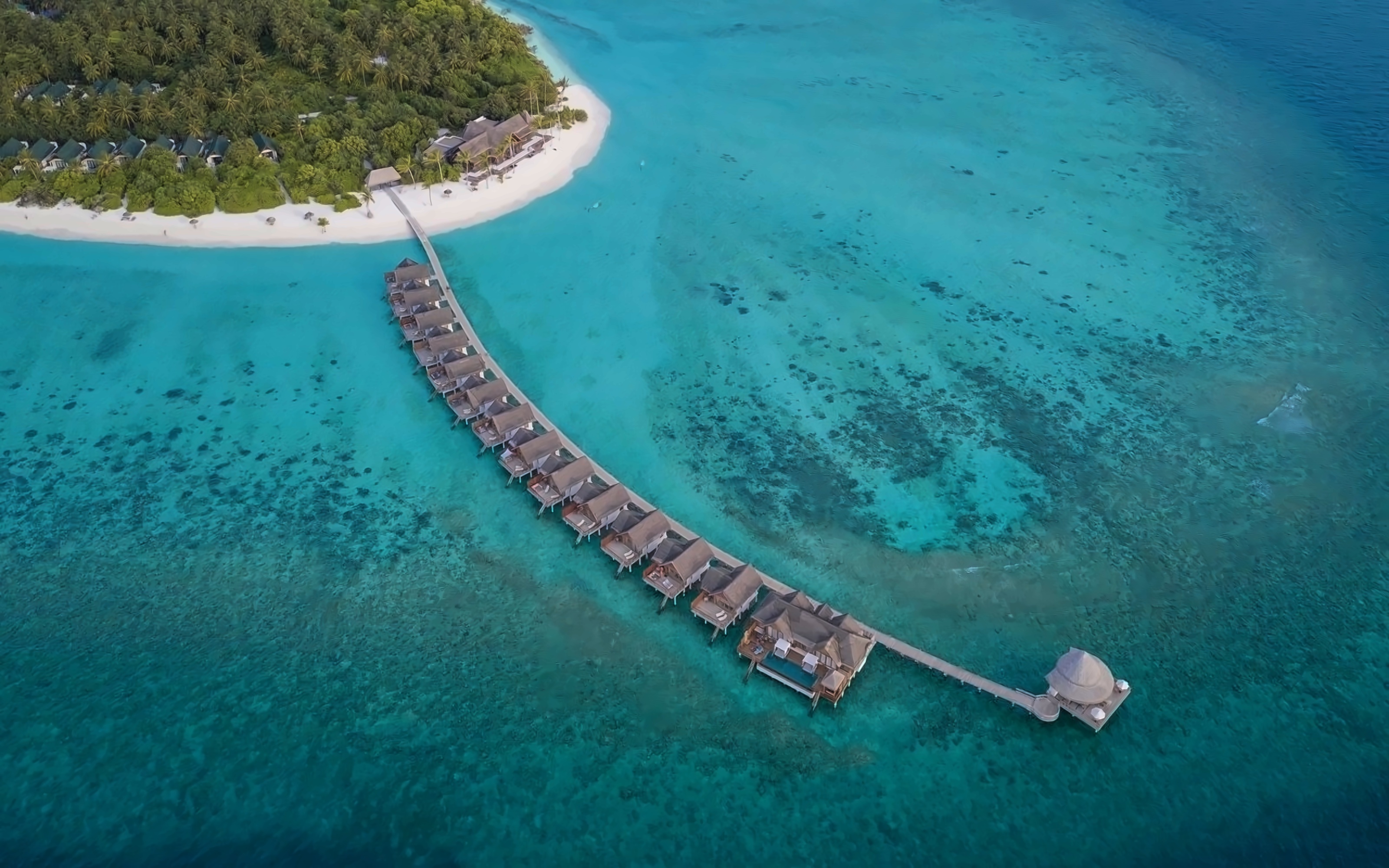 Furaveri Island Resort photo 6