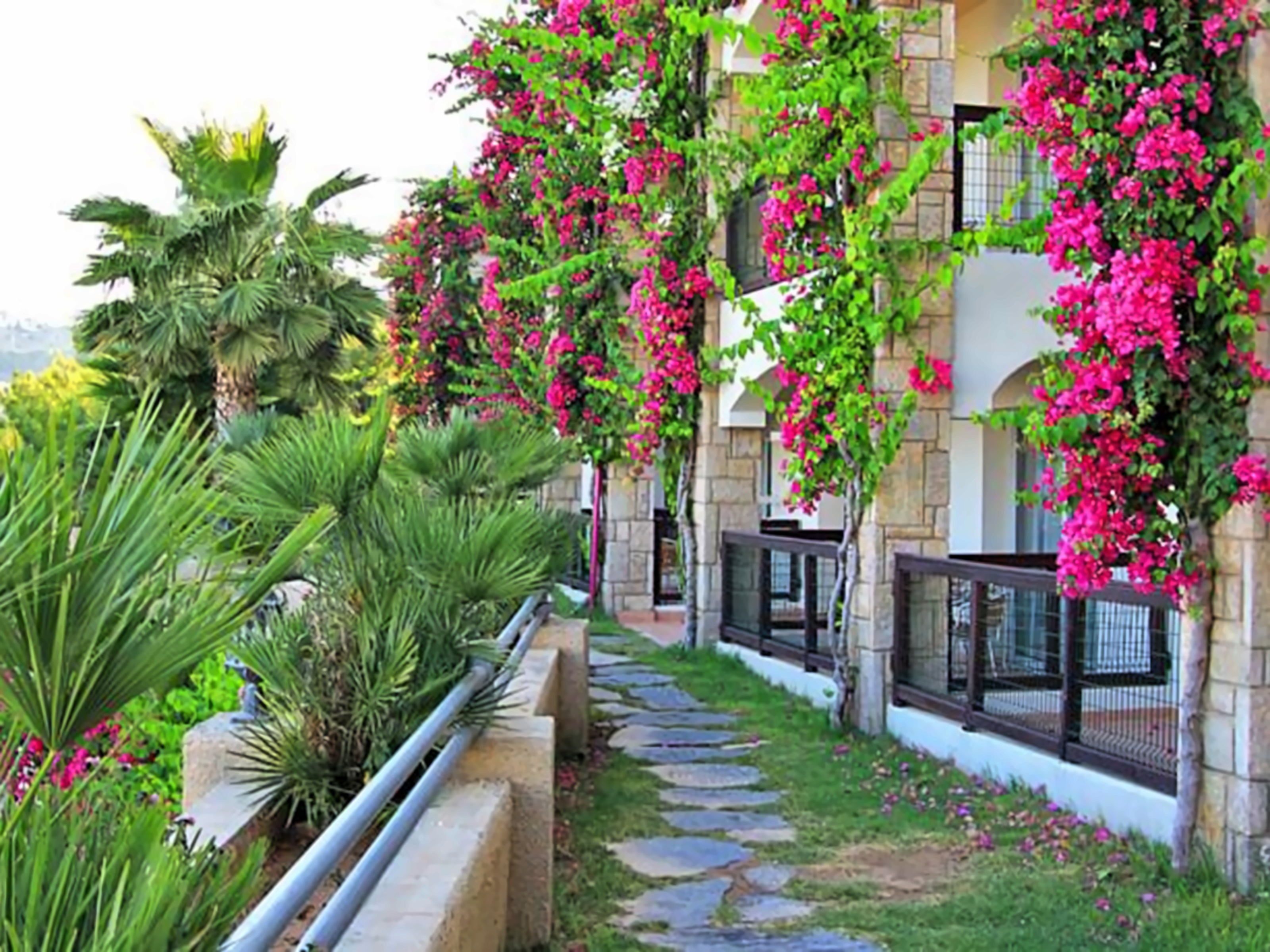 Palmet Bodrum Hotel (ex. Light House) photo 9