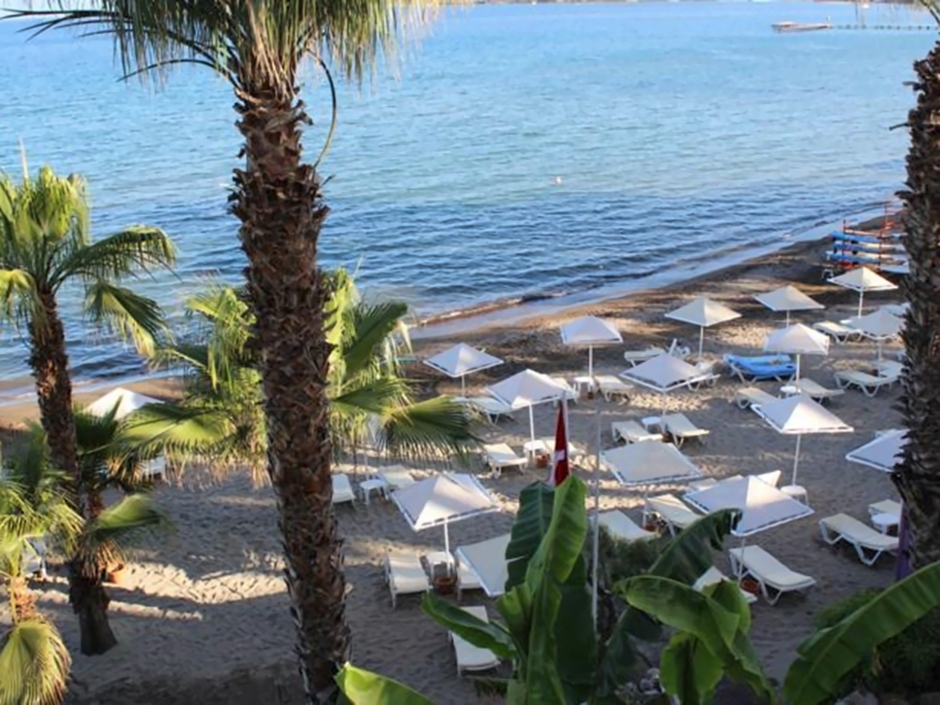 Palmet Bodrum Hotel (ex. Light House) photo 4