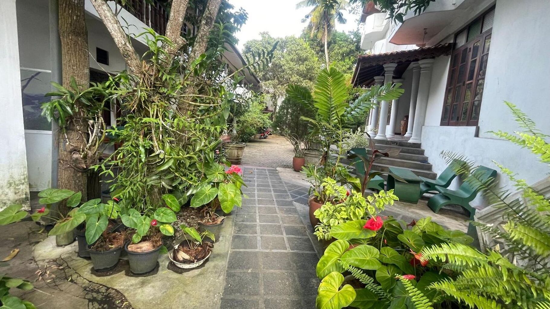 Serendipity Beach Hotel photo 6