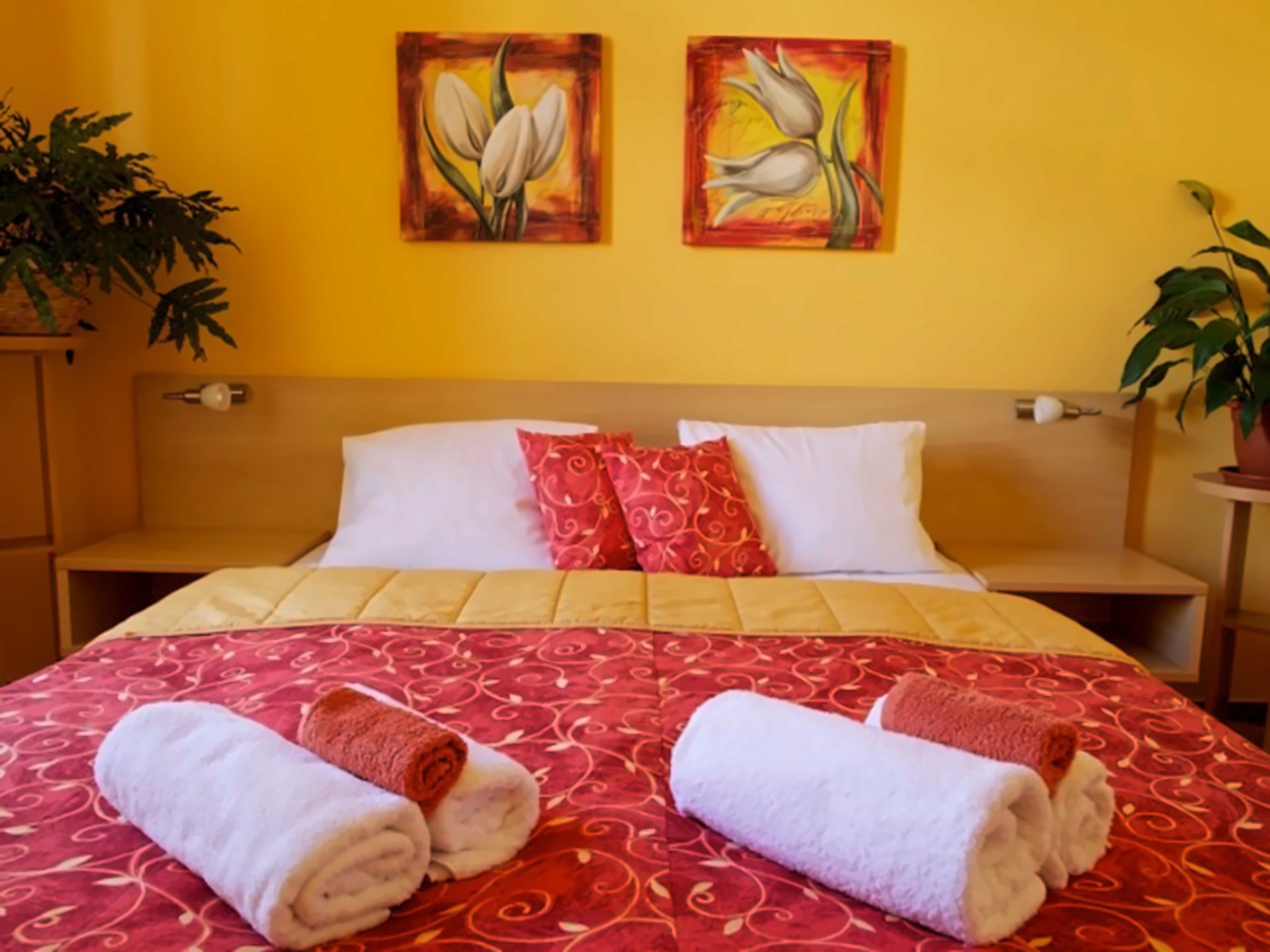 Steve City Hotel pilt 9