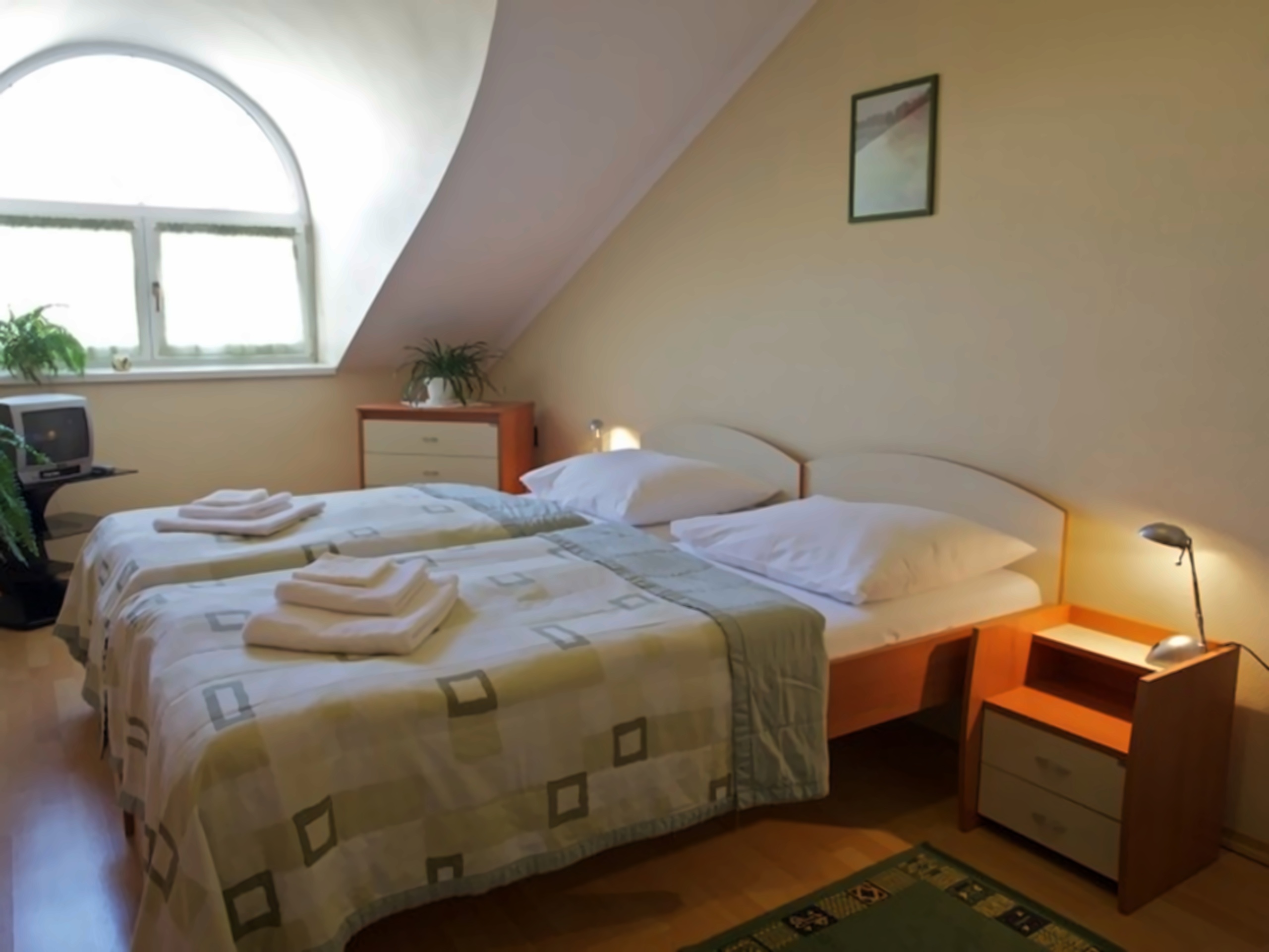Steve City Hotel pilt 7