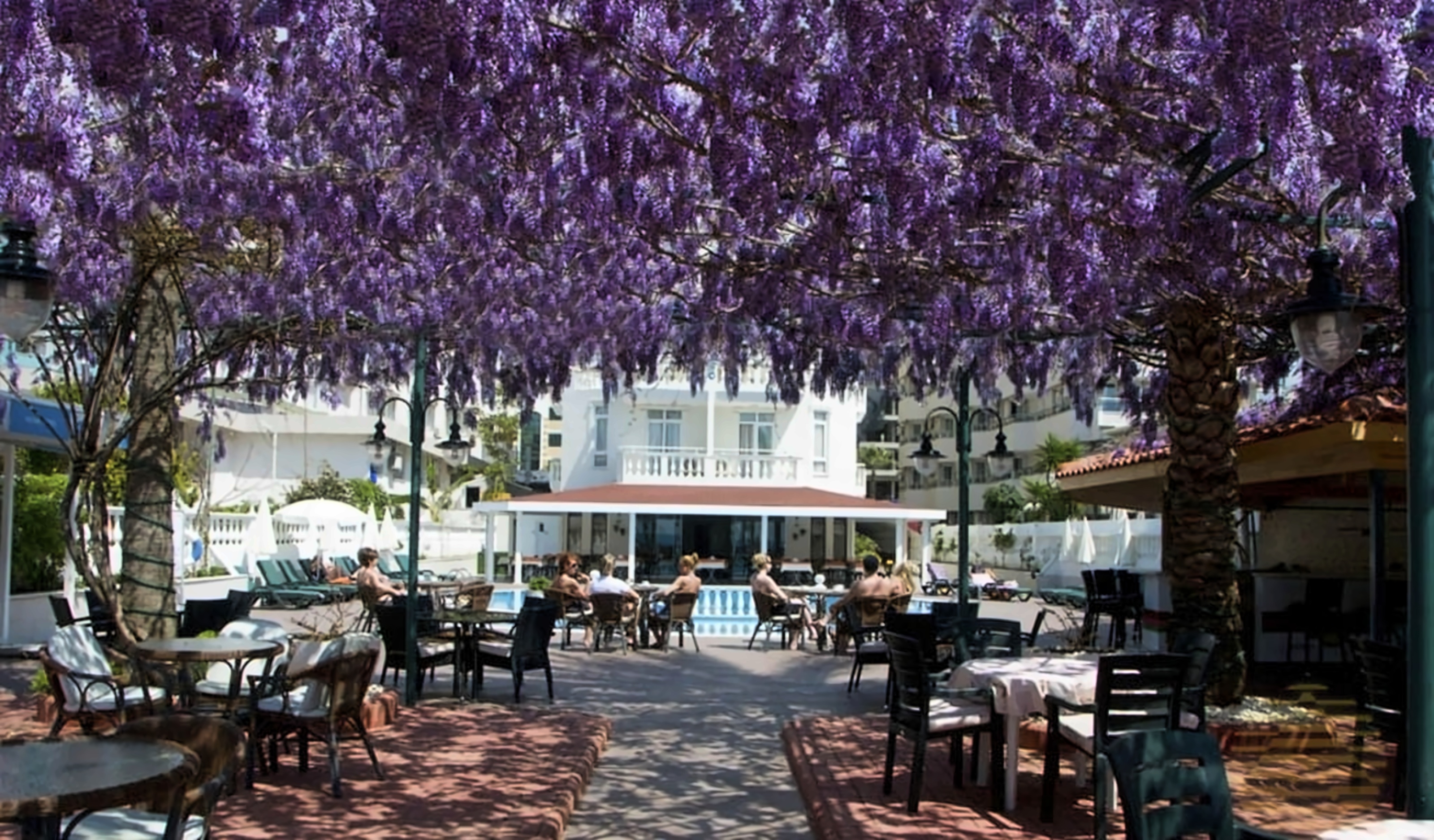 Azak Hotel pilt 7