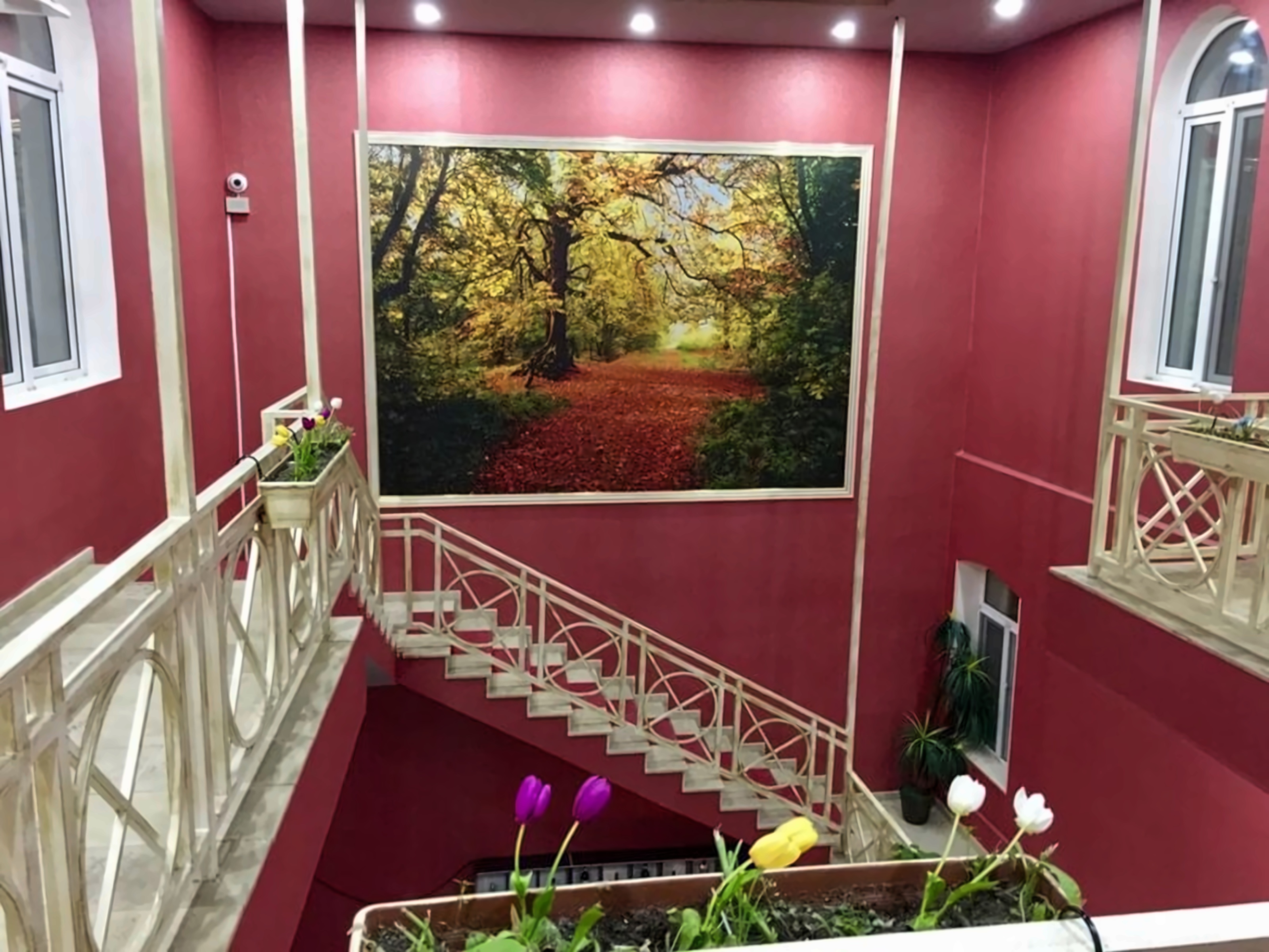 Jireh Hotel Baku photo 3