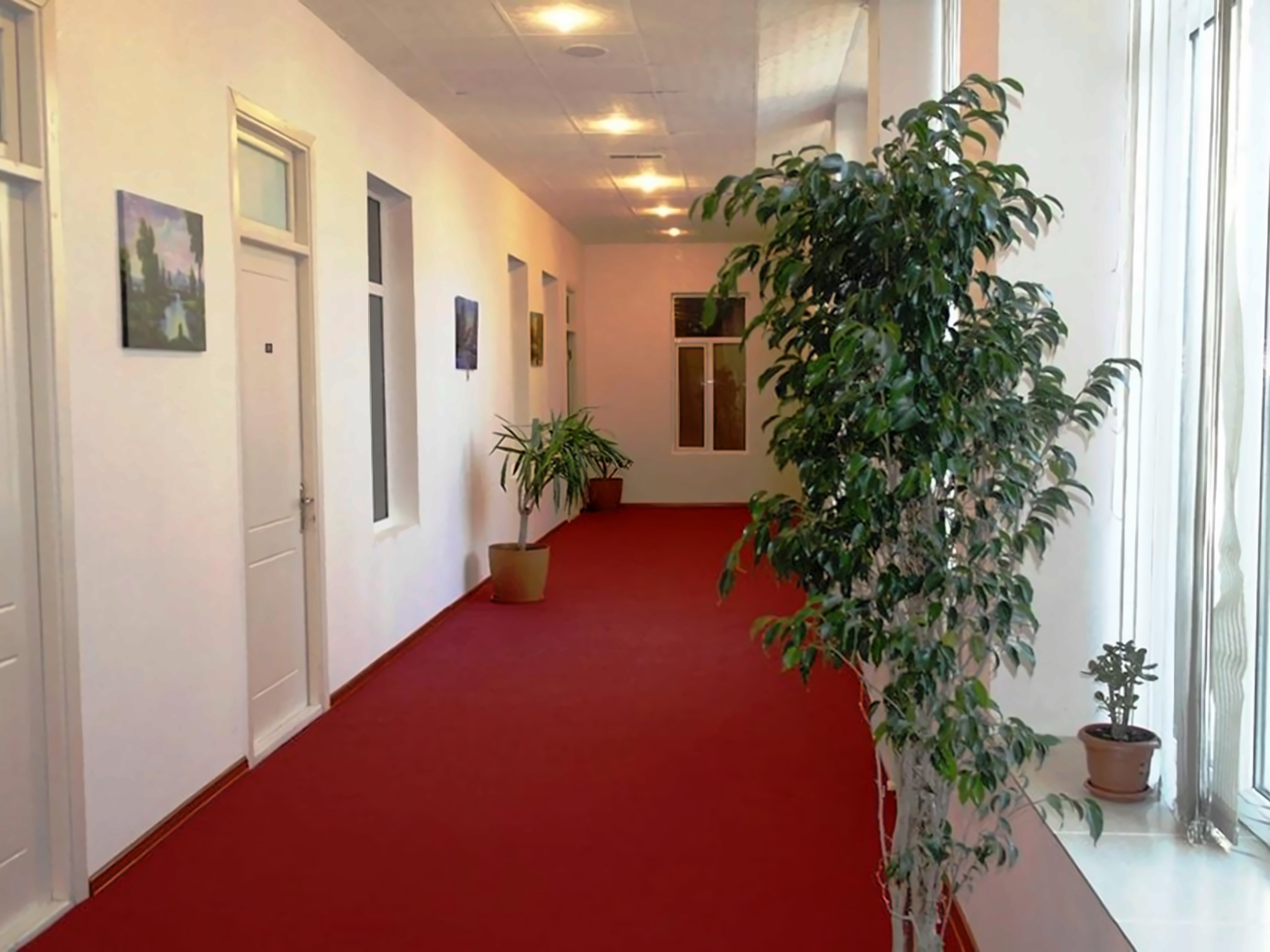 City Centre Hotel pilt 1