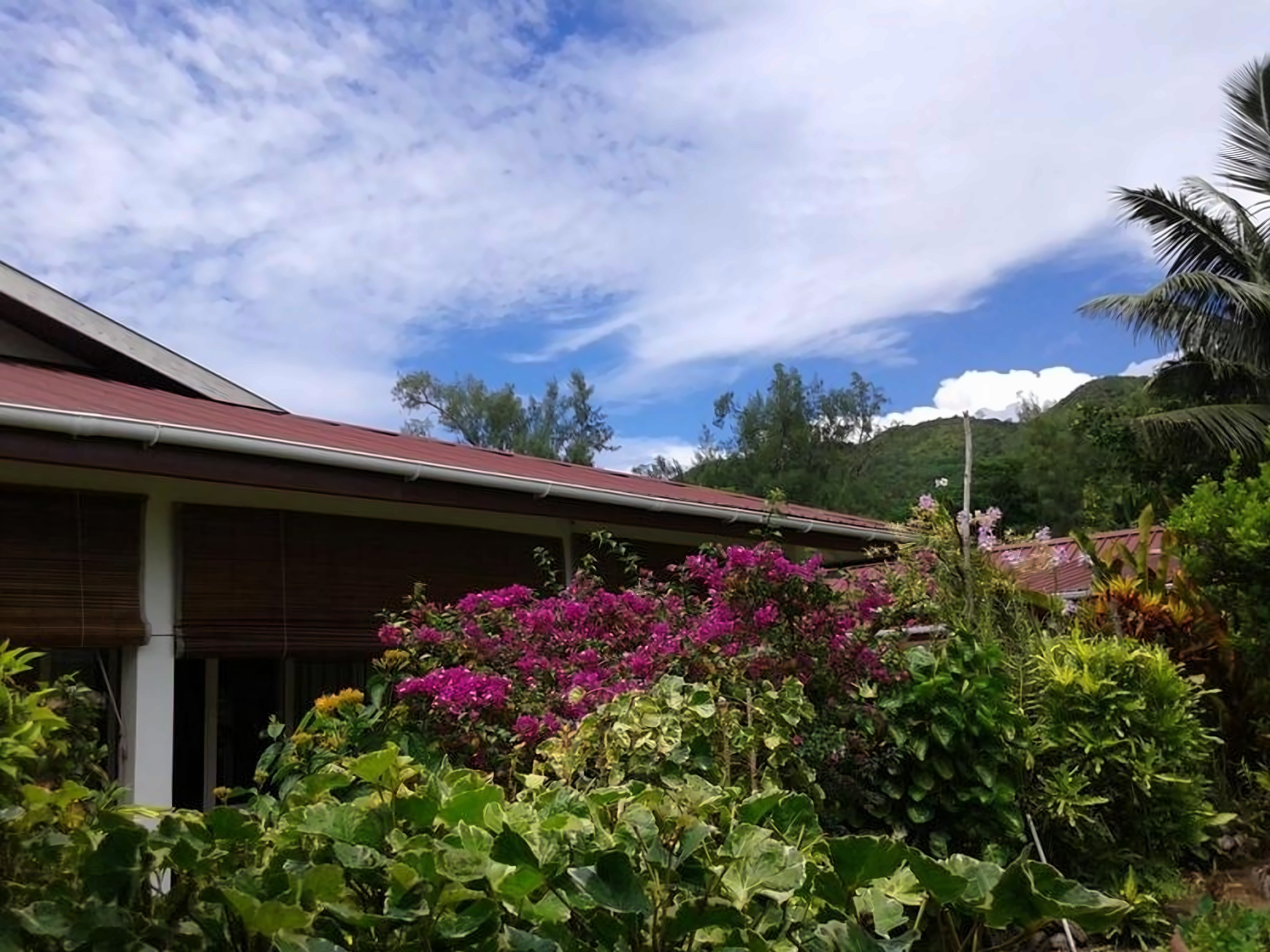 Le Relax St. Joseph Guest House pilt 1