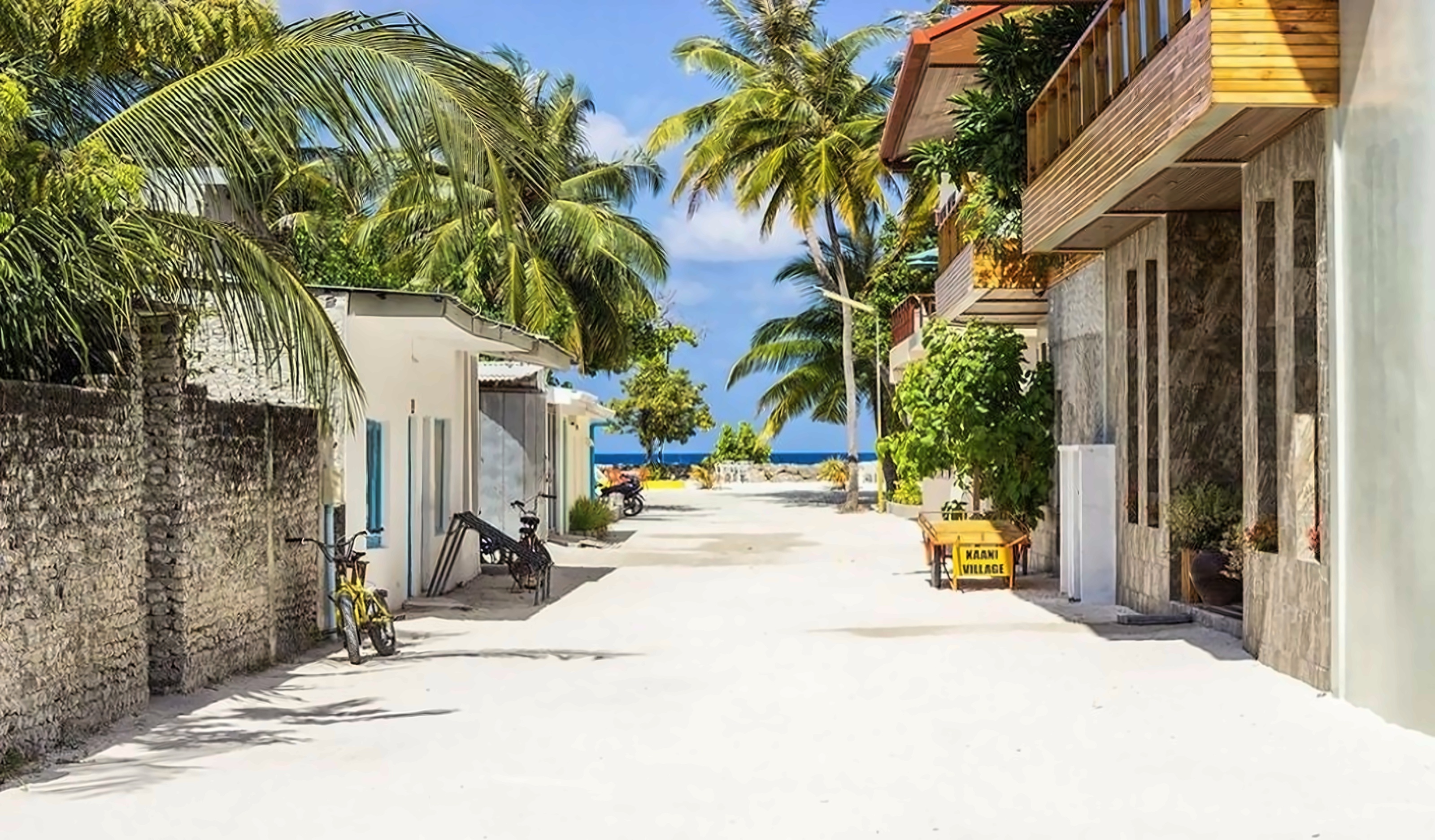 Coconut Tree Hulhuvilla Beach pilt 30
