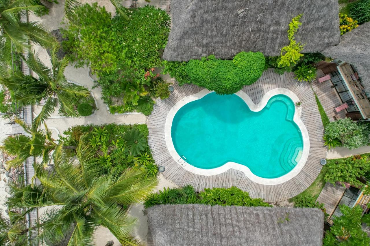 Jambiani Villas pilt 4