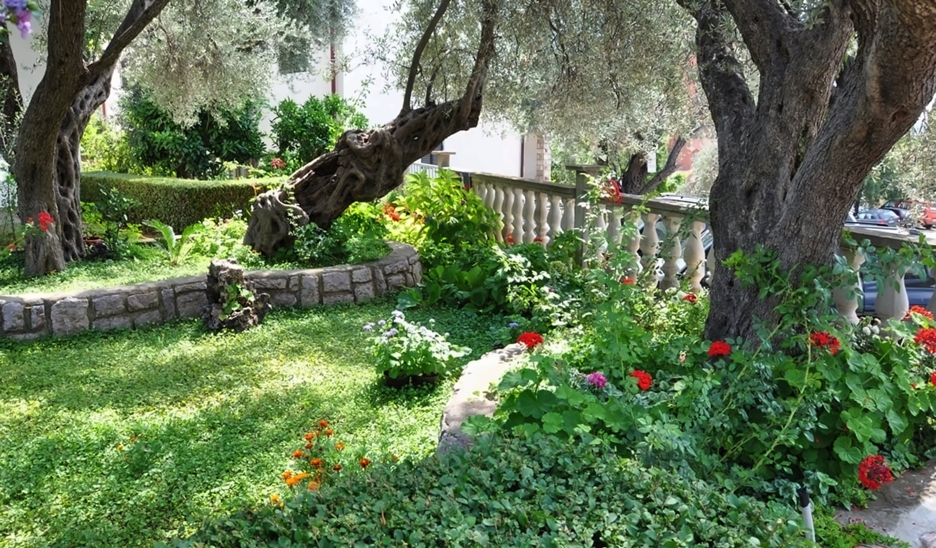 Villa Petrovic pilt 3