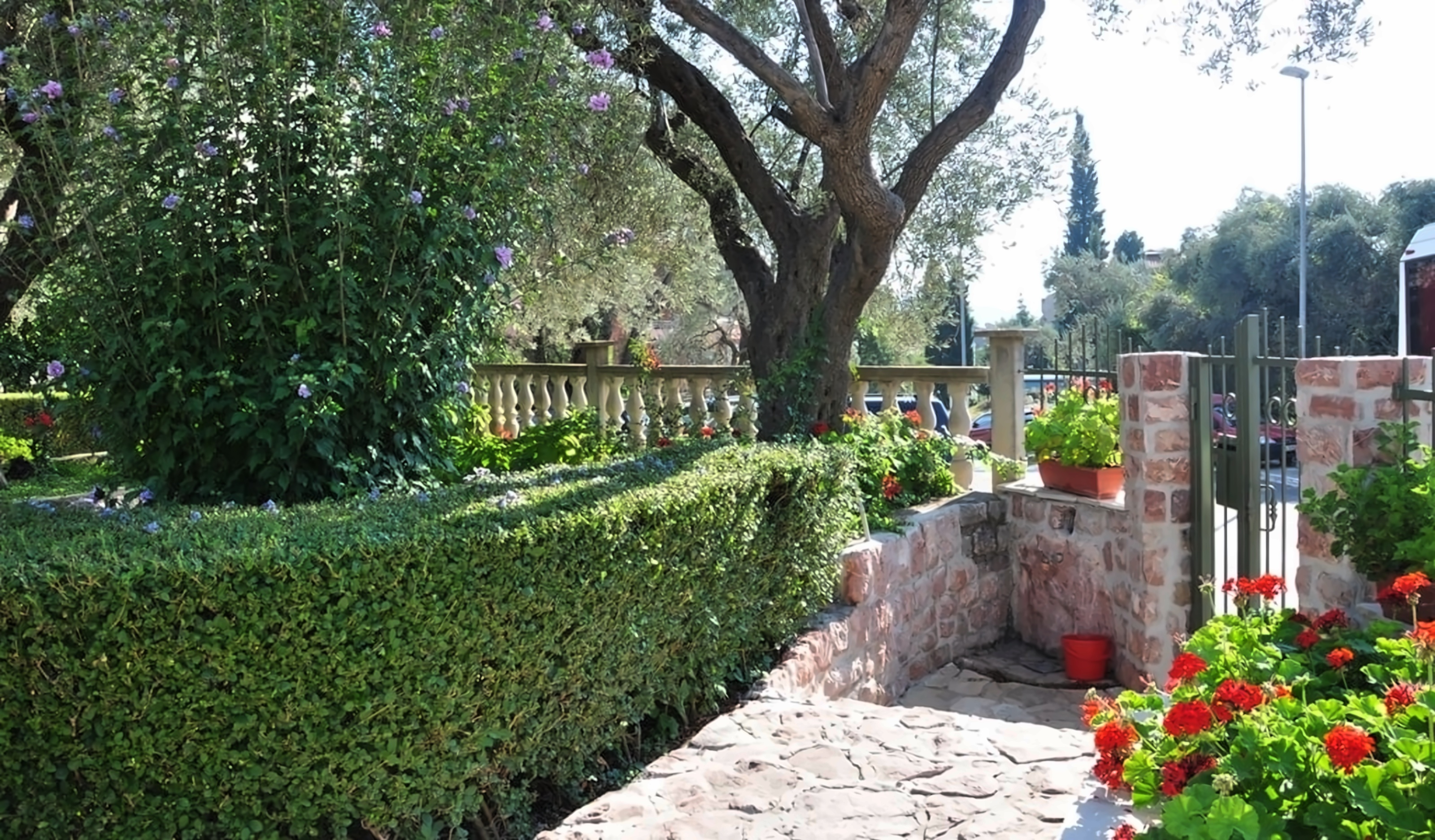 Villa Petrovic pilt 5
