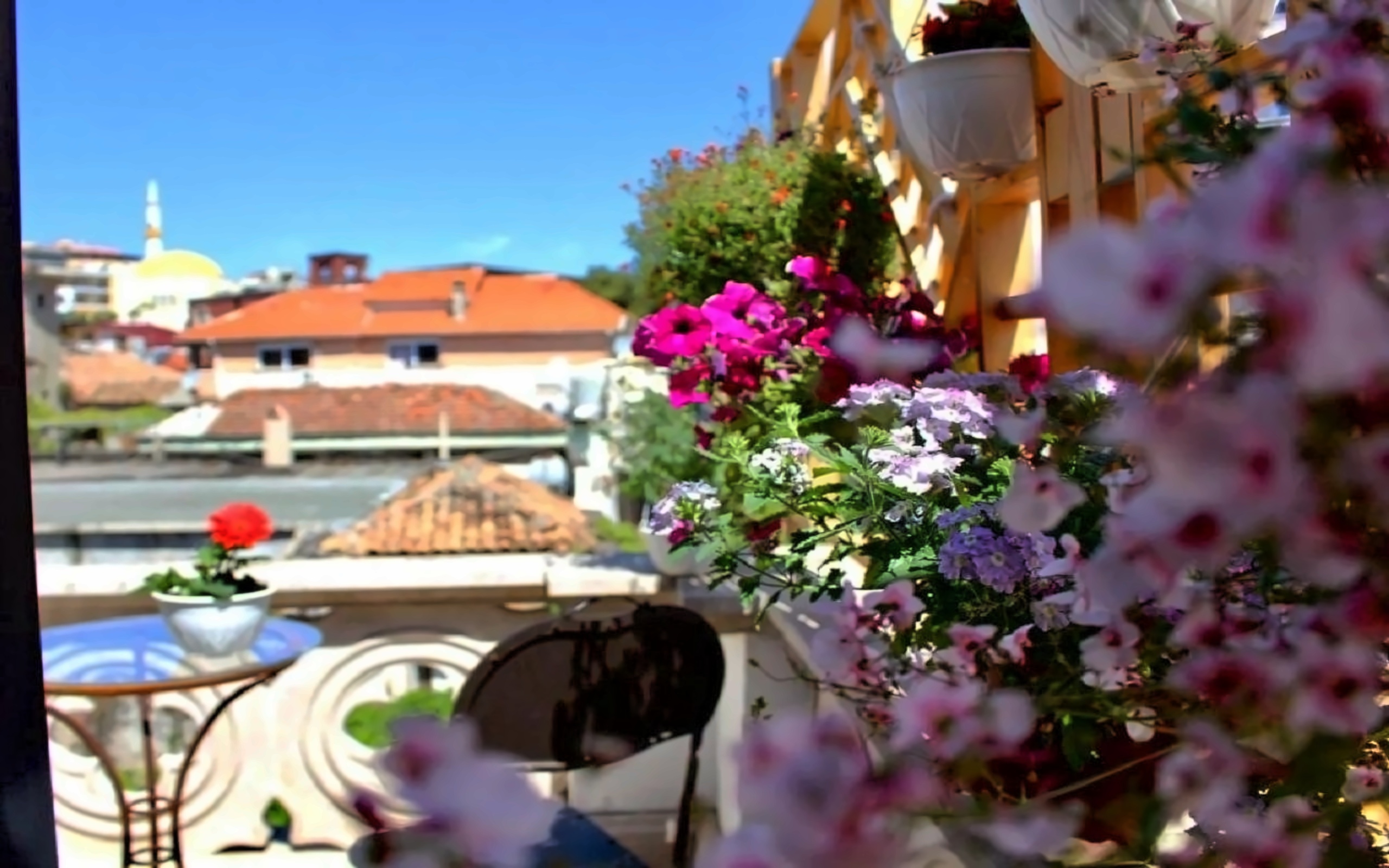 Vila 8 Boutique Hotel Poză 27