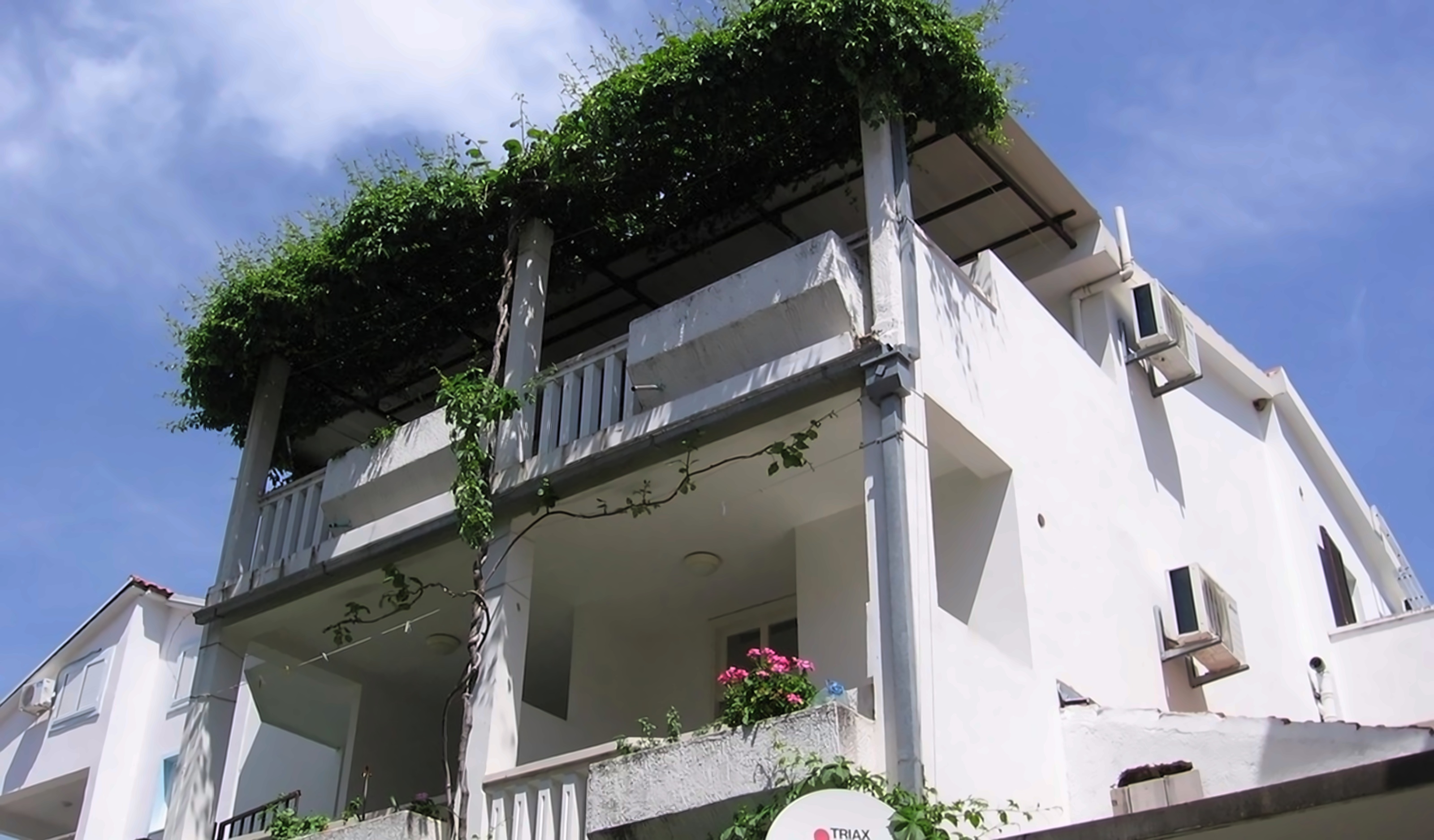 Apartments Jelena photo 1