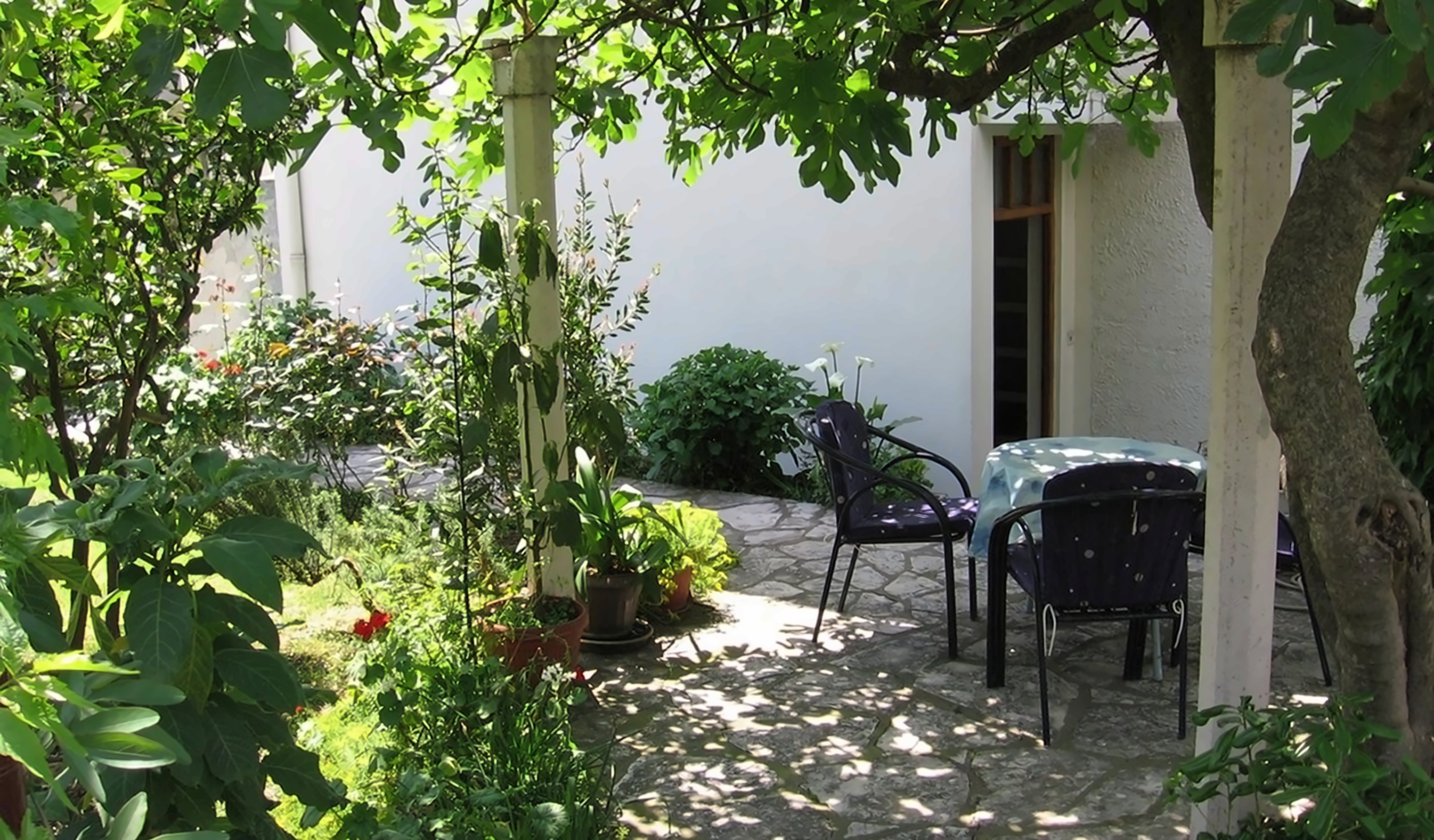 Apartments Jelena photo 3