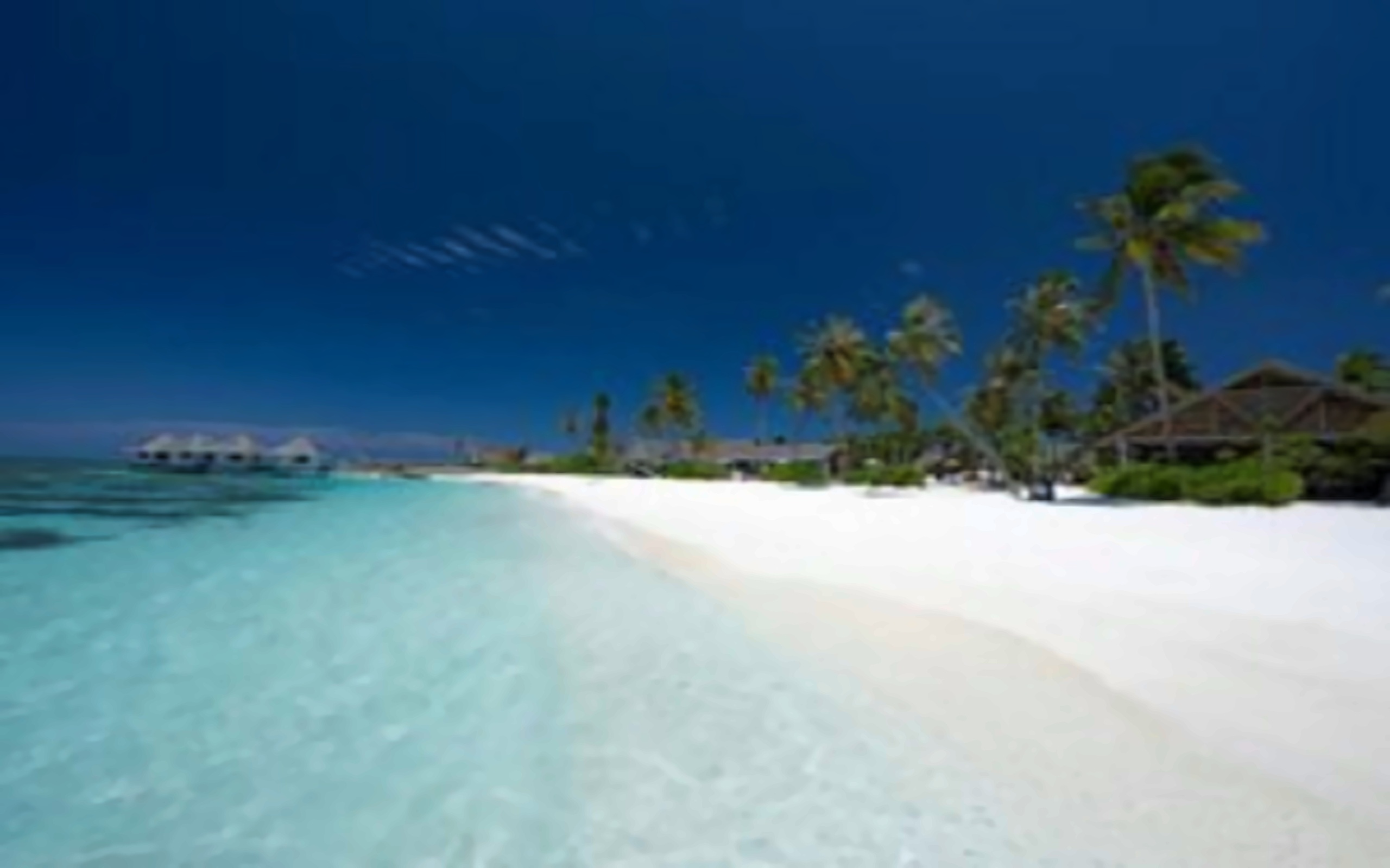 Cora Cora Maldives pilt 2