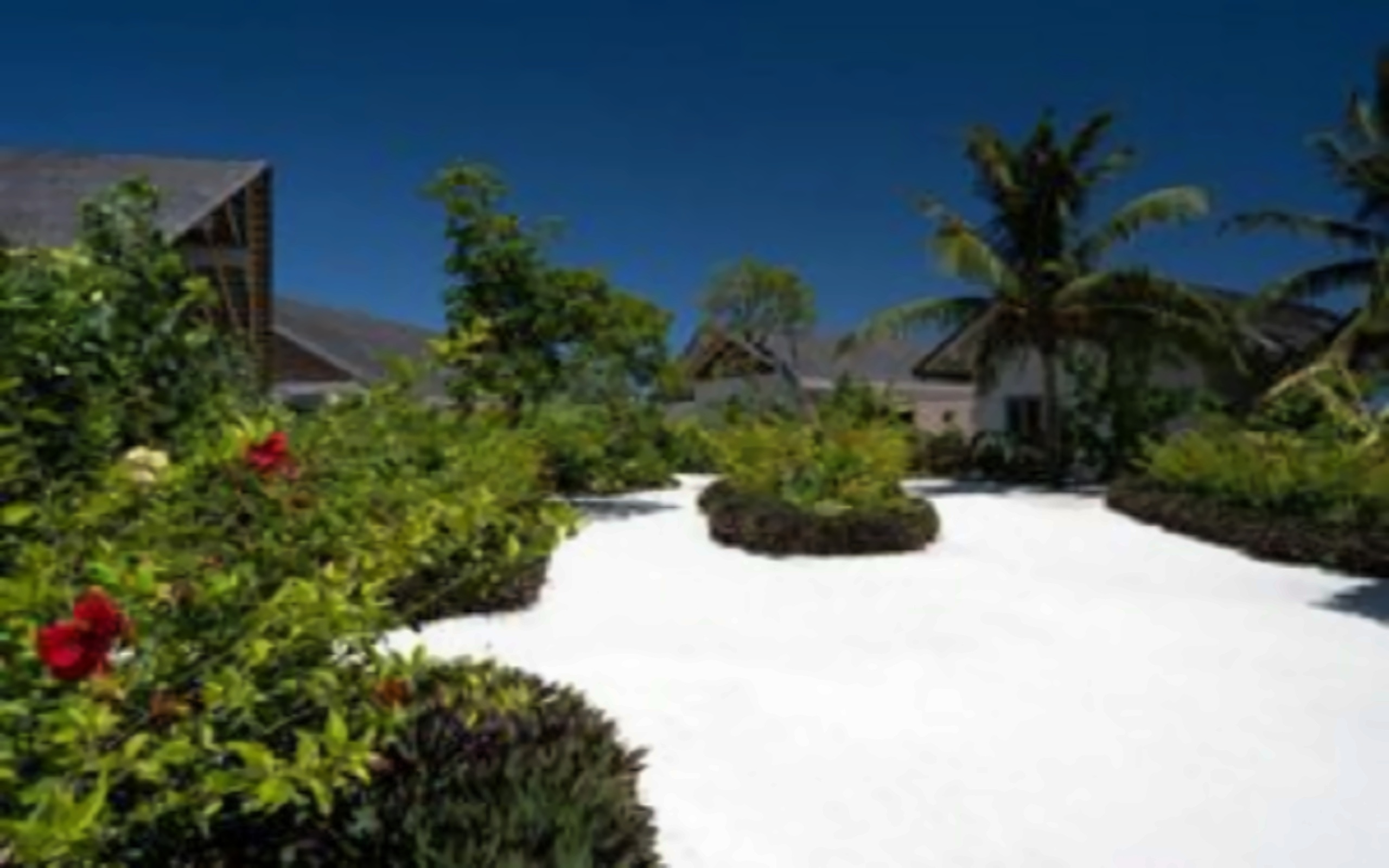 Cora Cora Maldives pilt 6