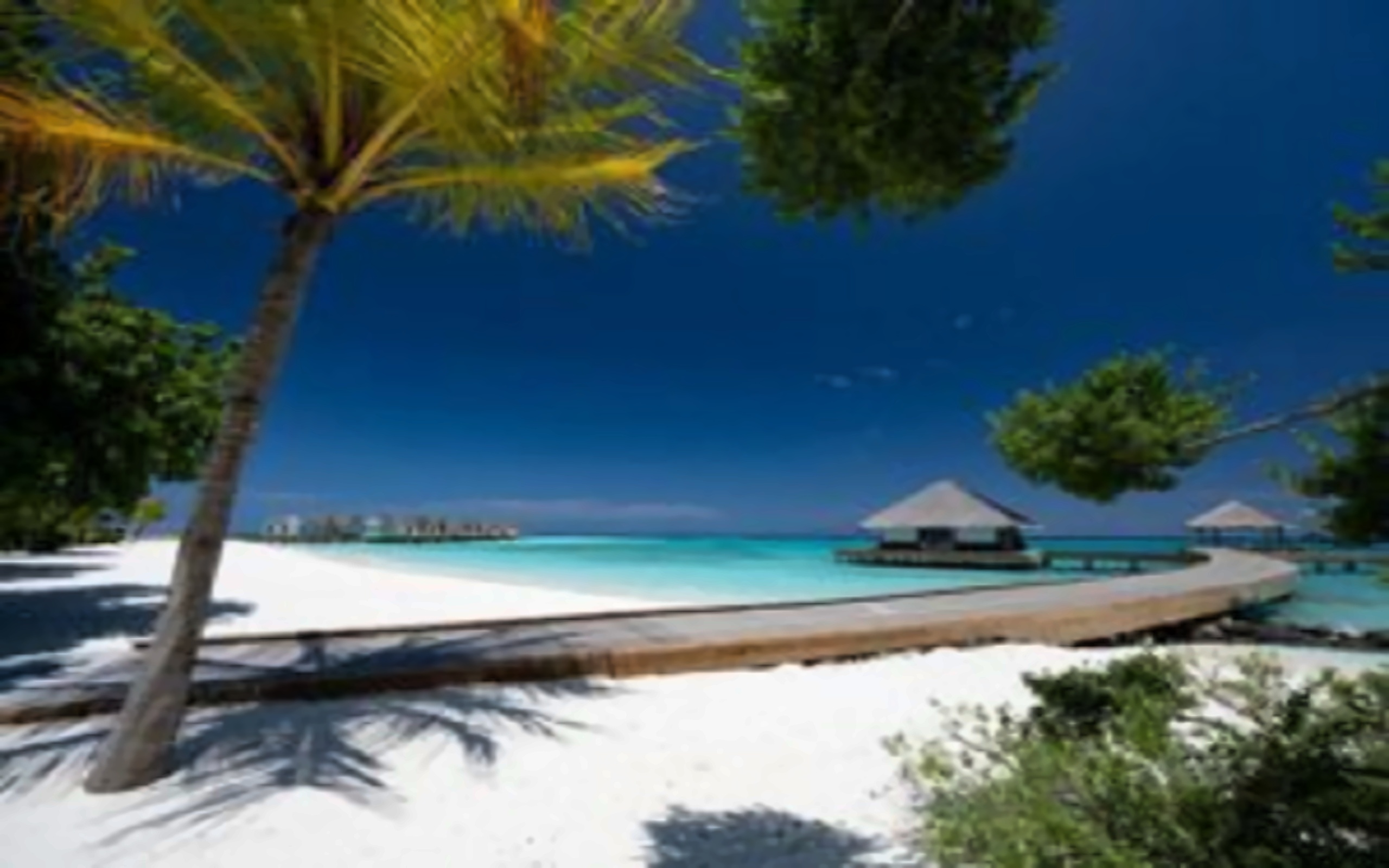 Cora Cora Maldives pilt 5
