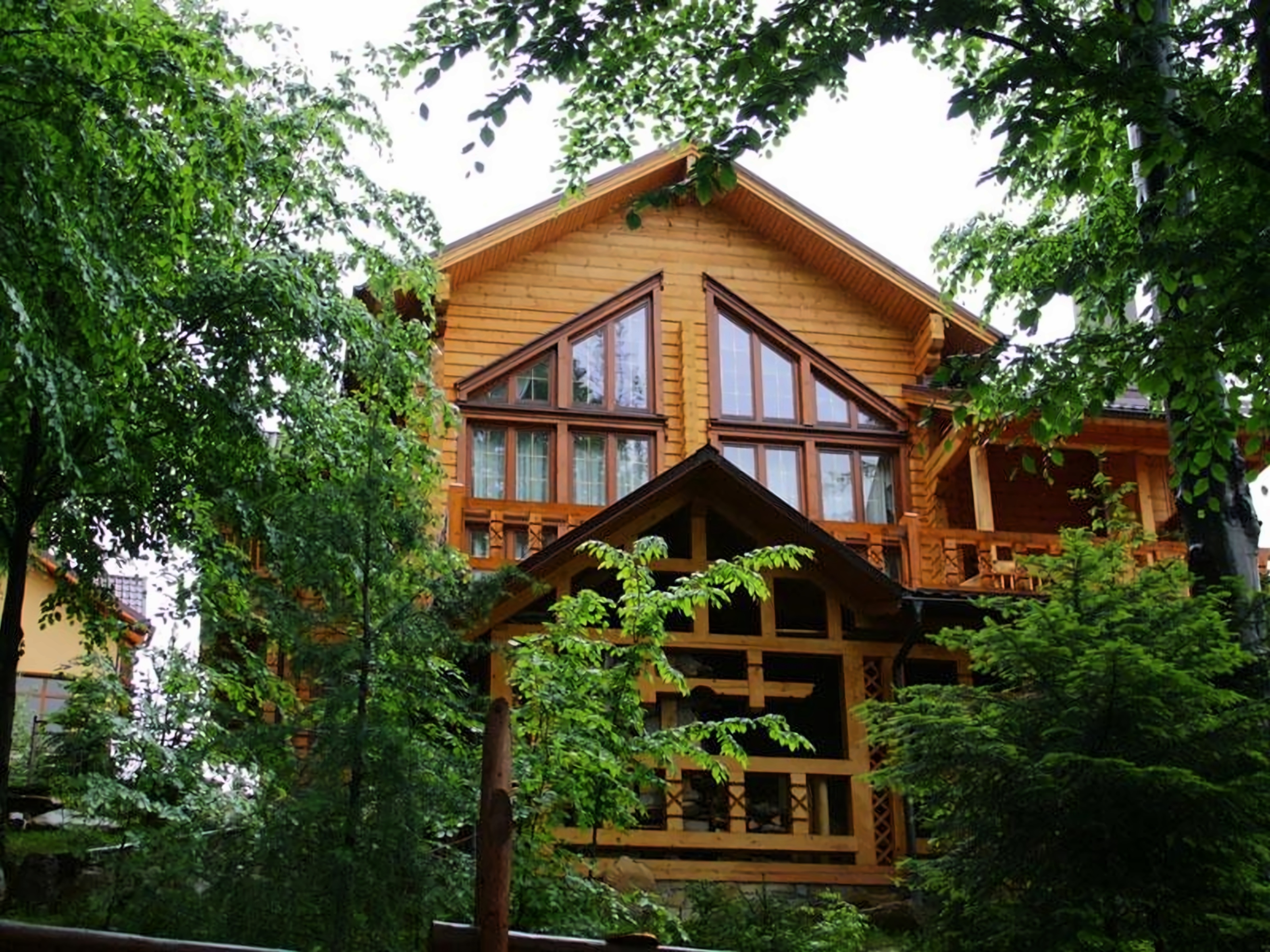 Vedmezha Gora Family Resort & Spa pilt 1