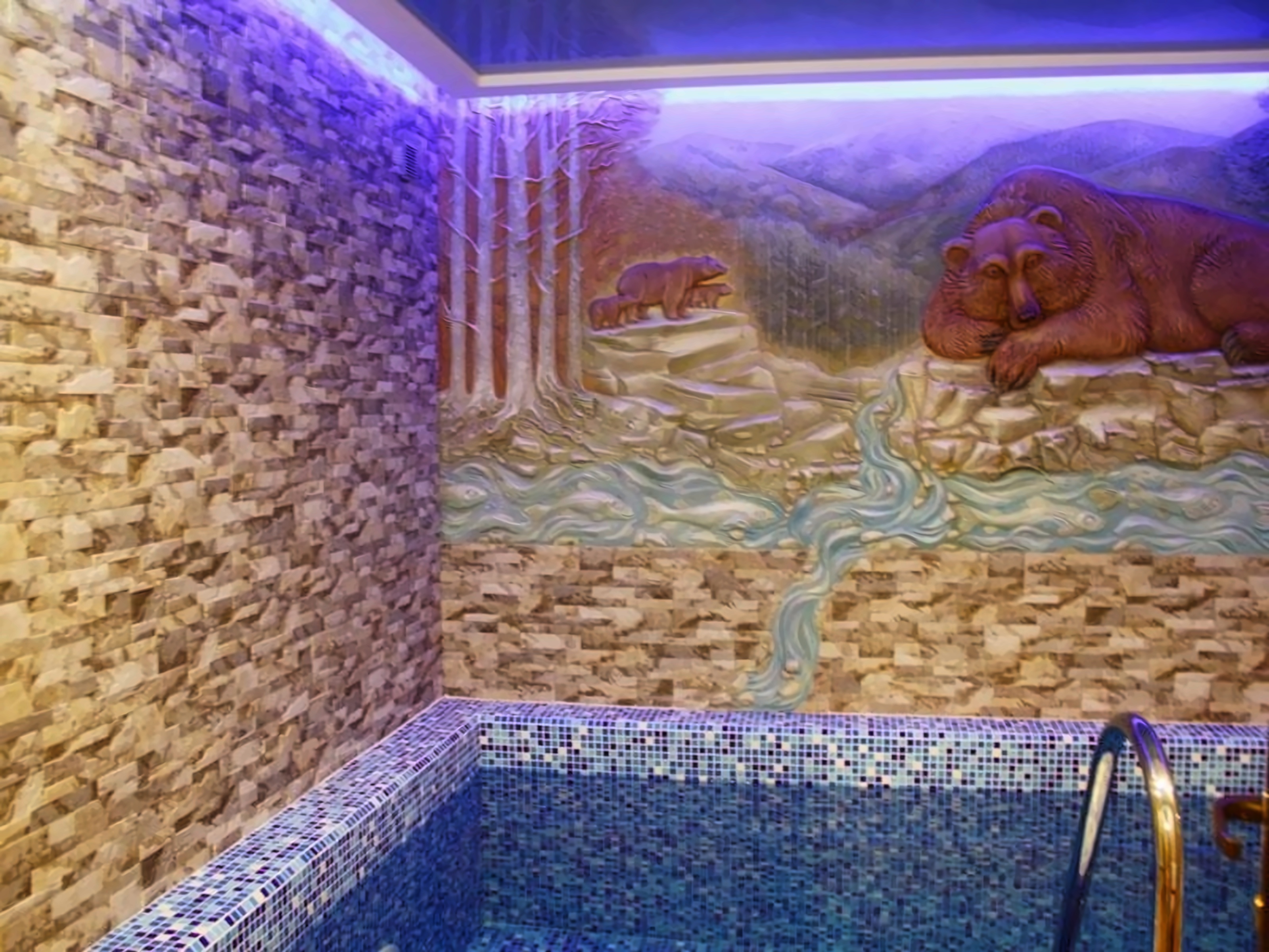Vedmezha Gora Family Resort & Spa pilt 17
