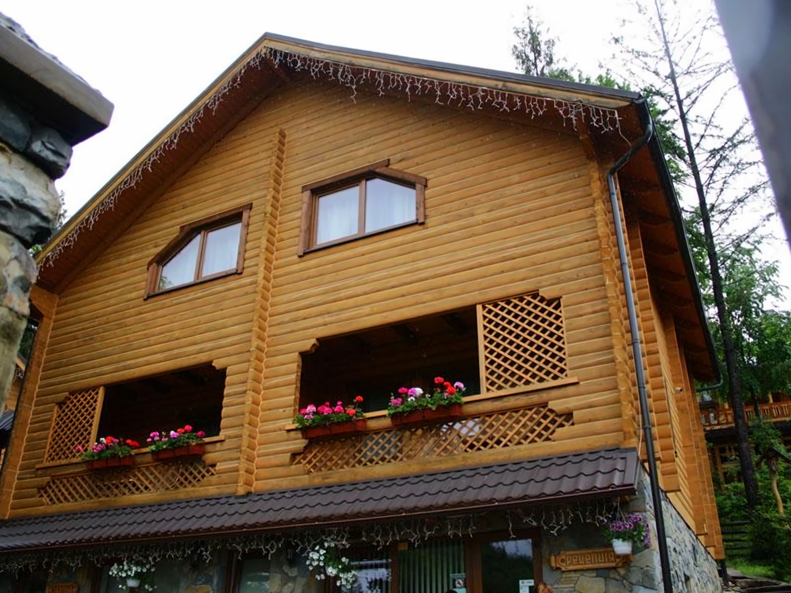 Vedmezha Gora Family Resort & Spa pilt 4