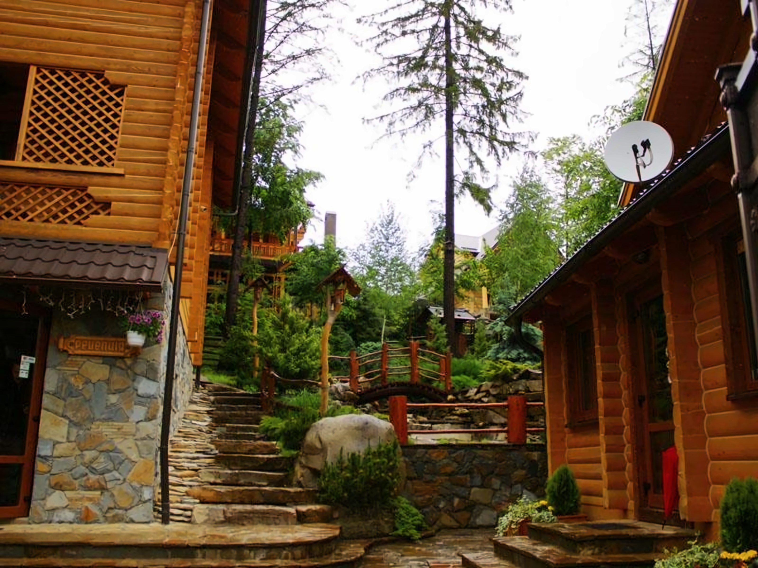 Vedmezha Gora Family Resort & Spa pilt 5