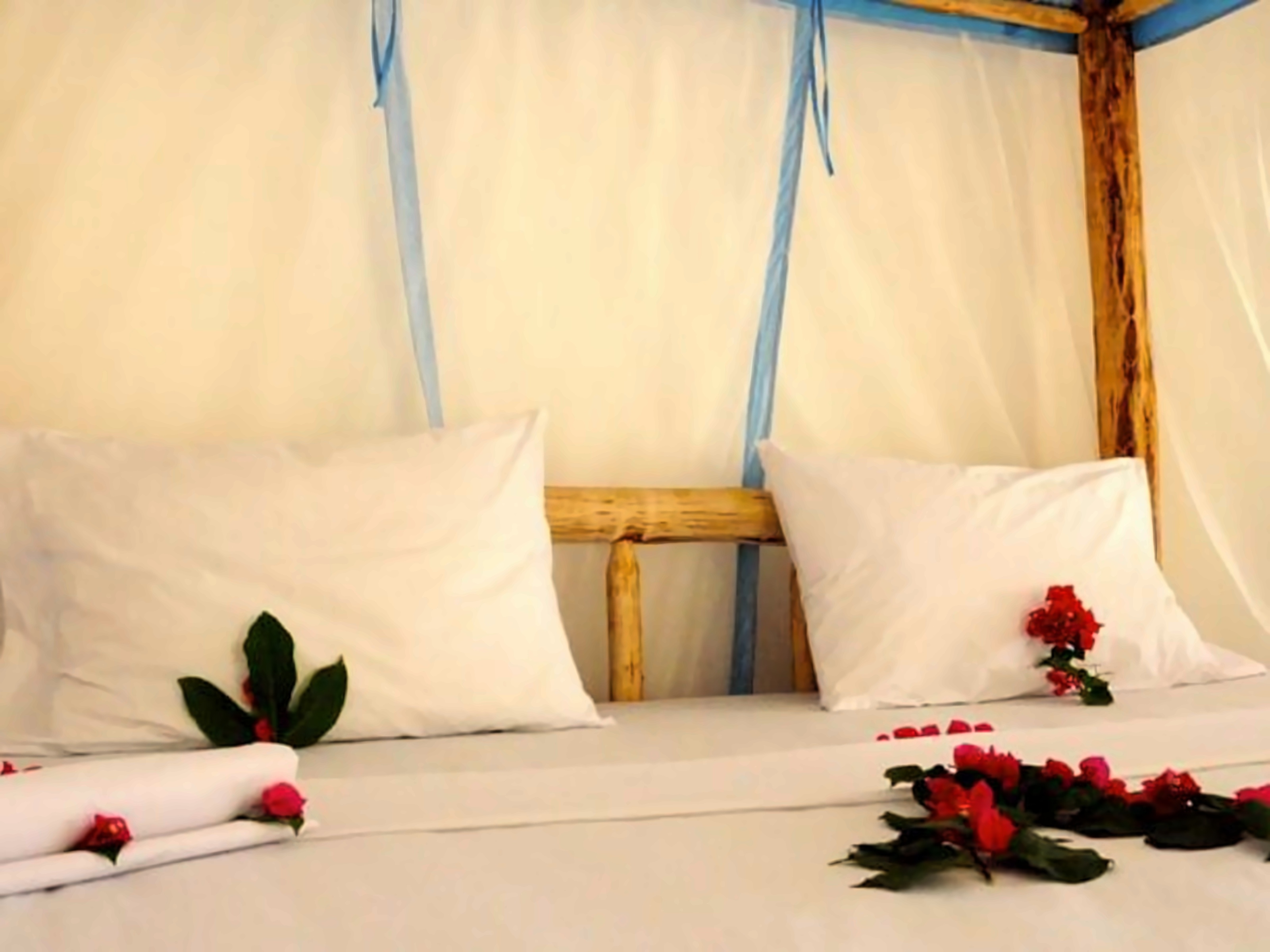 Blue Reef Fishing Lodge photo 3