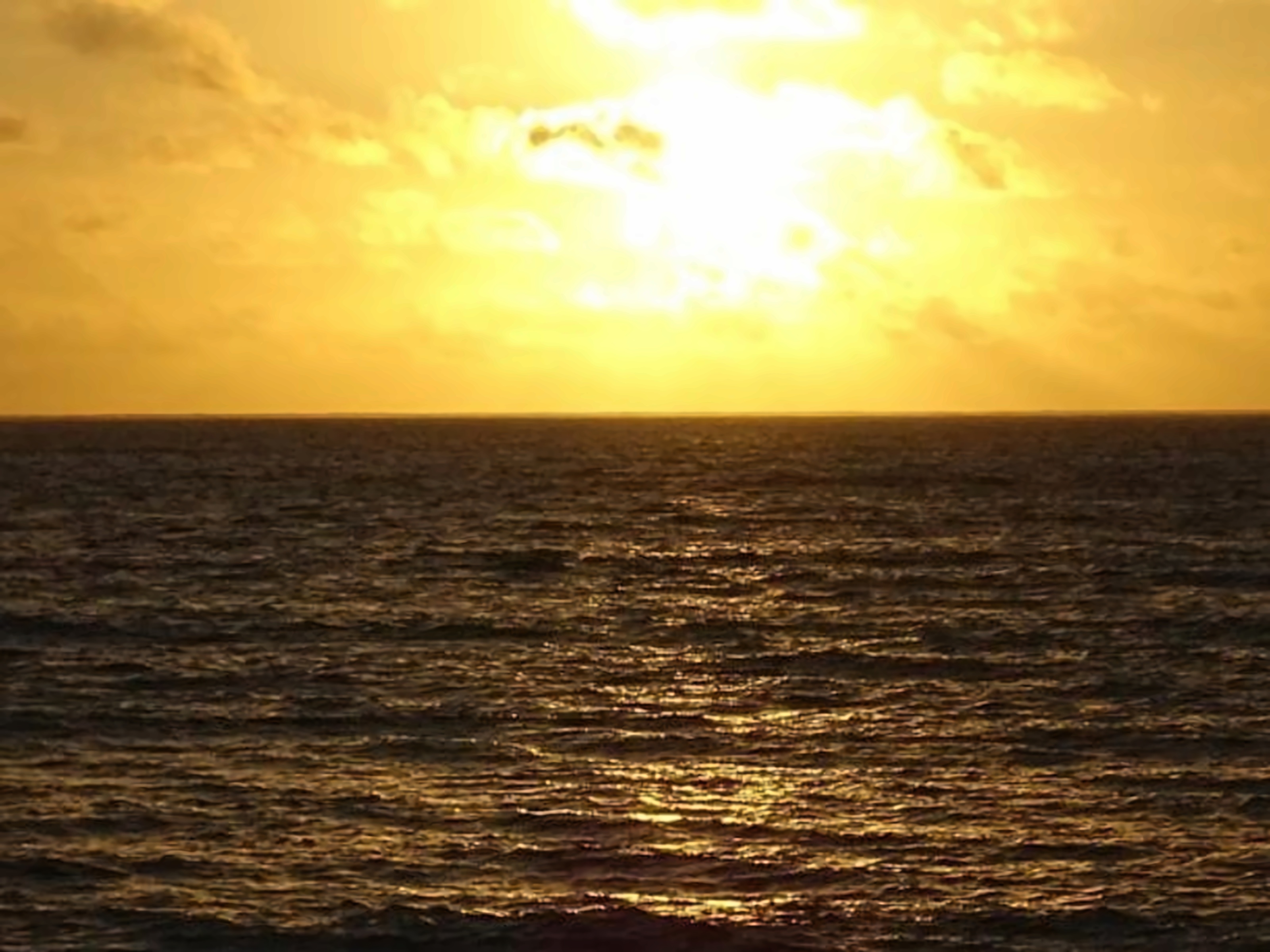 Blue Reef Fishing Lodge photo 36