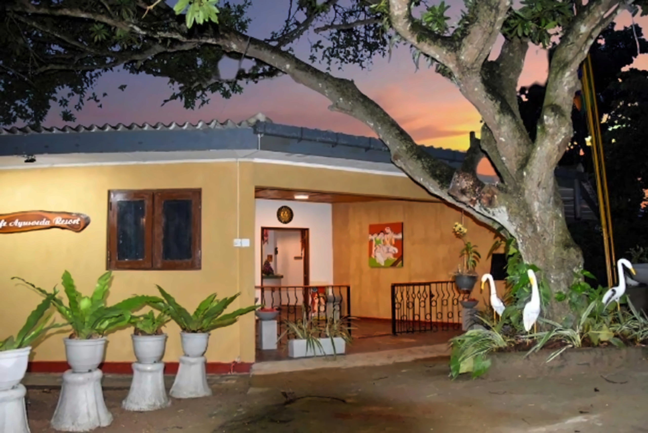Life Ayurveda Resort photo 11