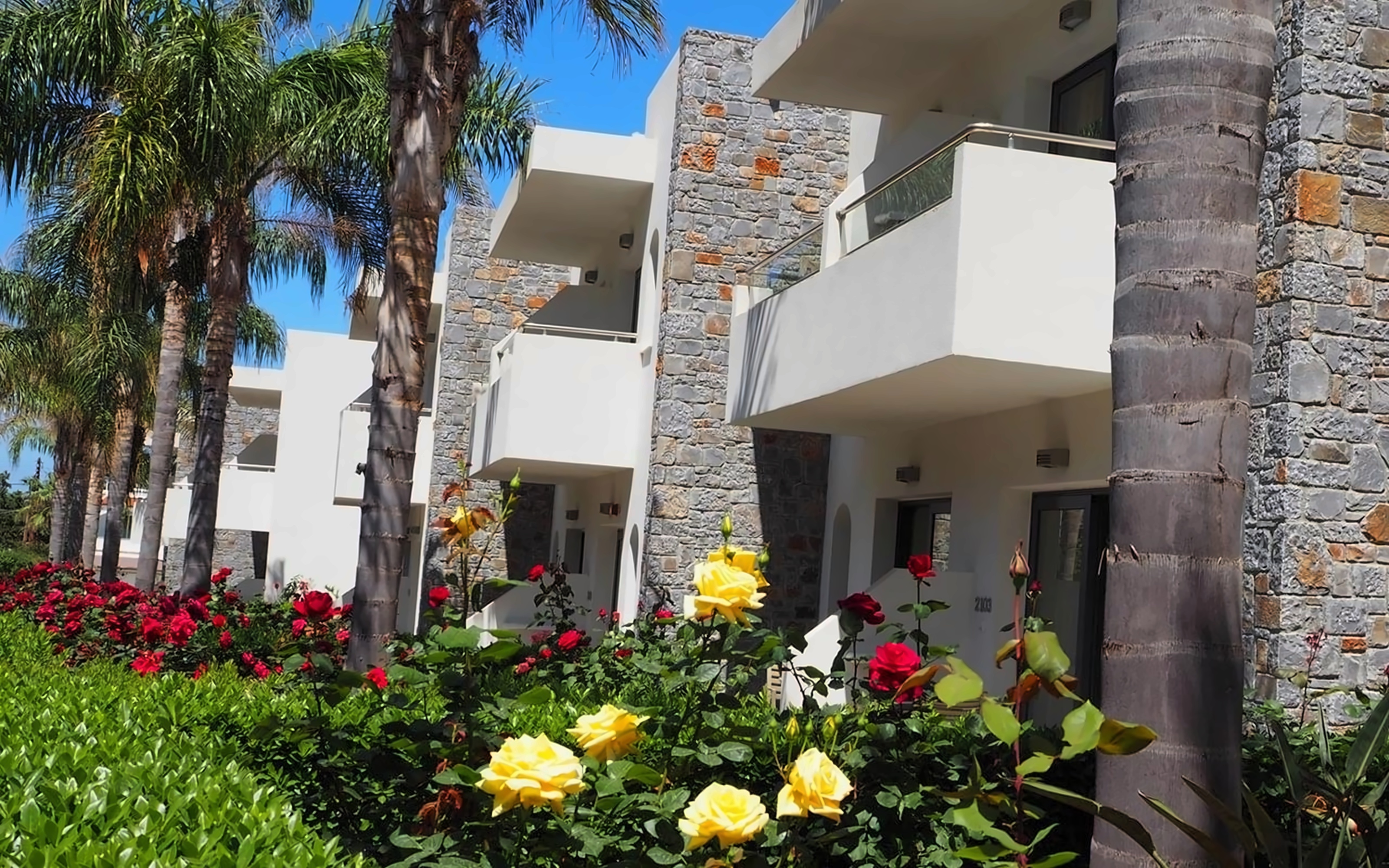 COOEE Kyknos Beach Hotel & Bungalows pilt 3