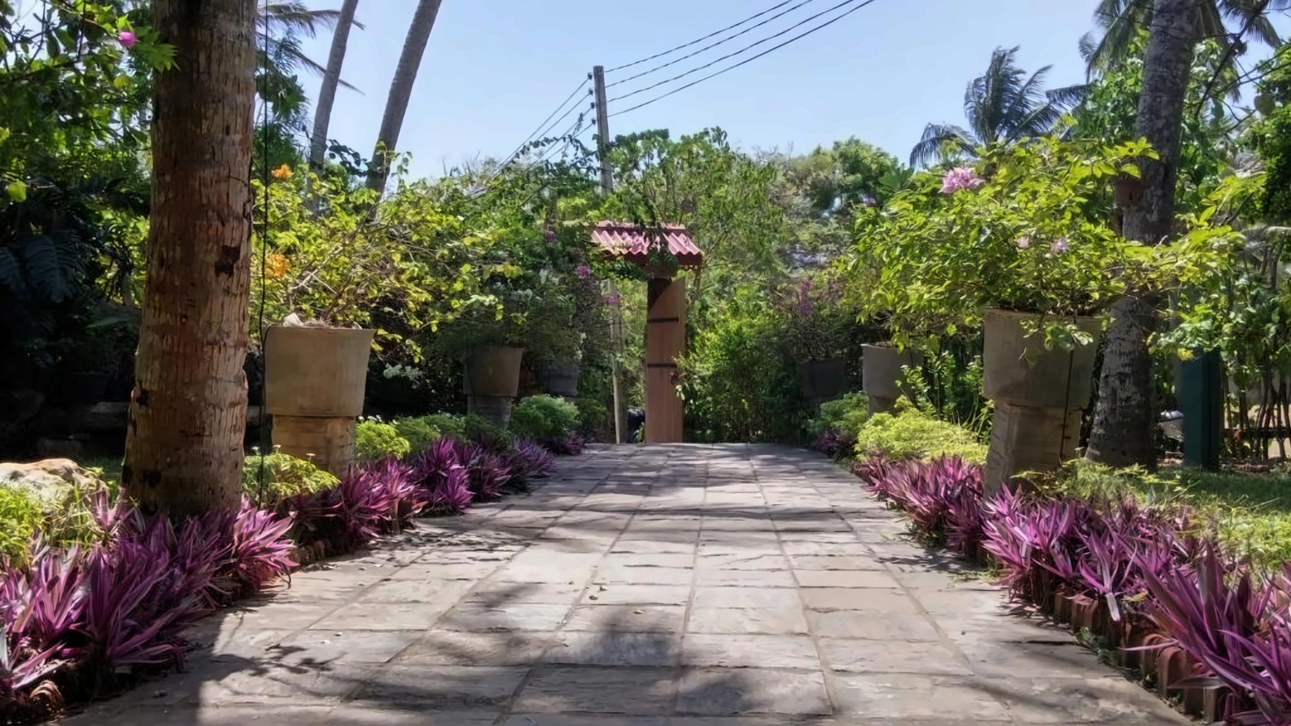 Turtle Bay Resort photo 9