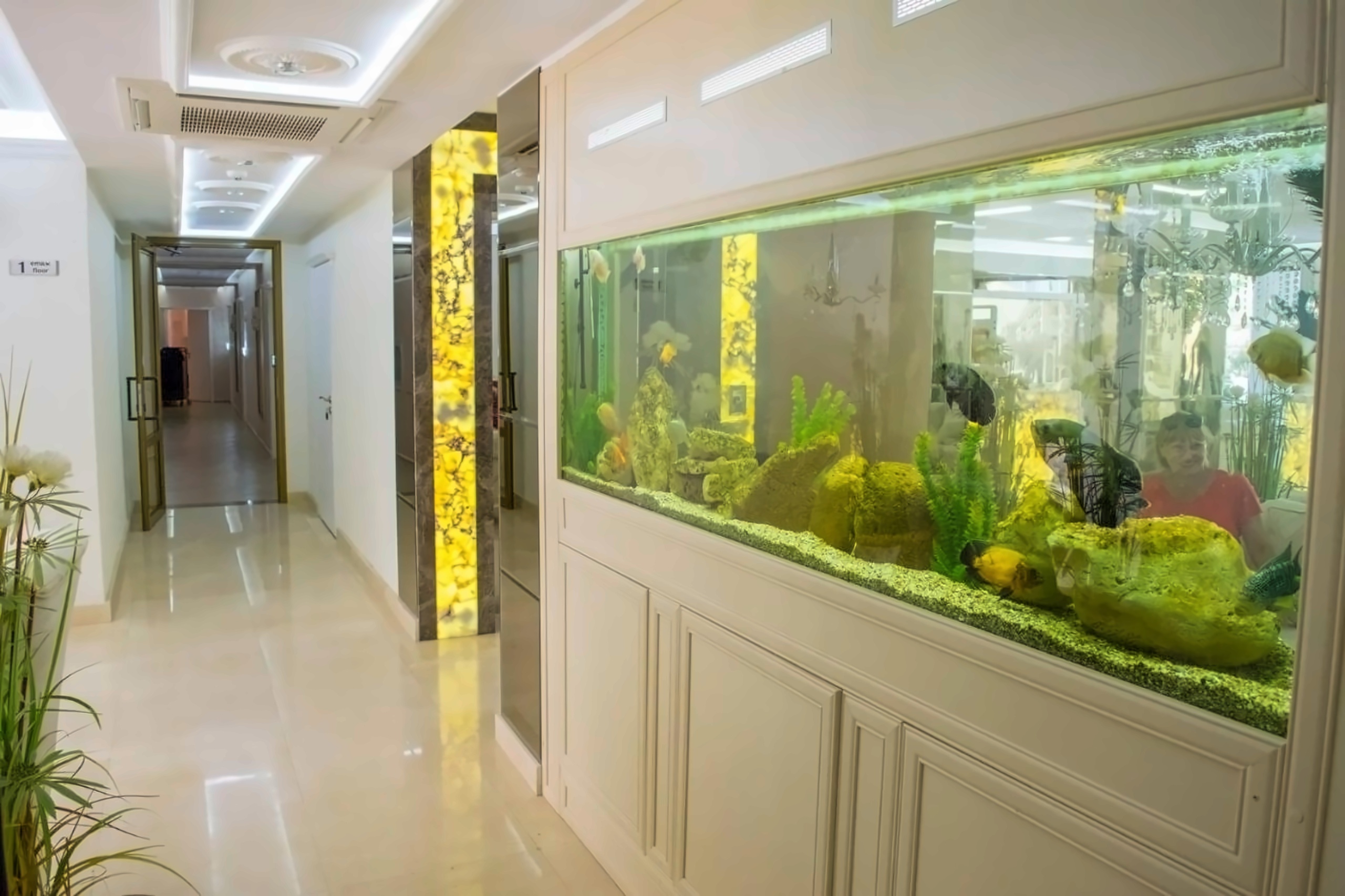 Harmony Suites Dream Island Aparthotel photo 13
