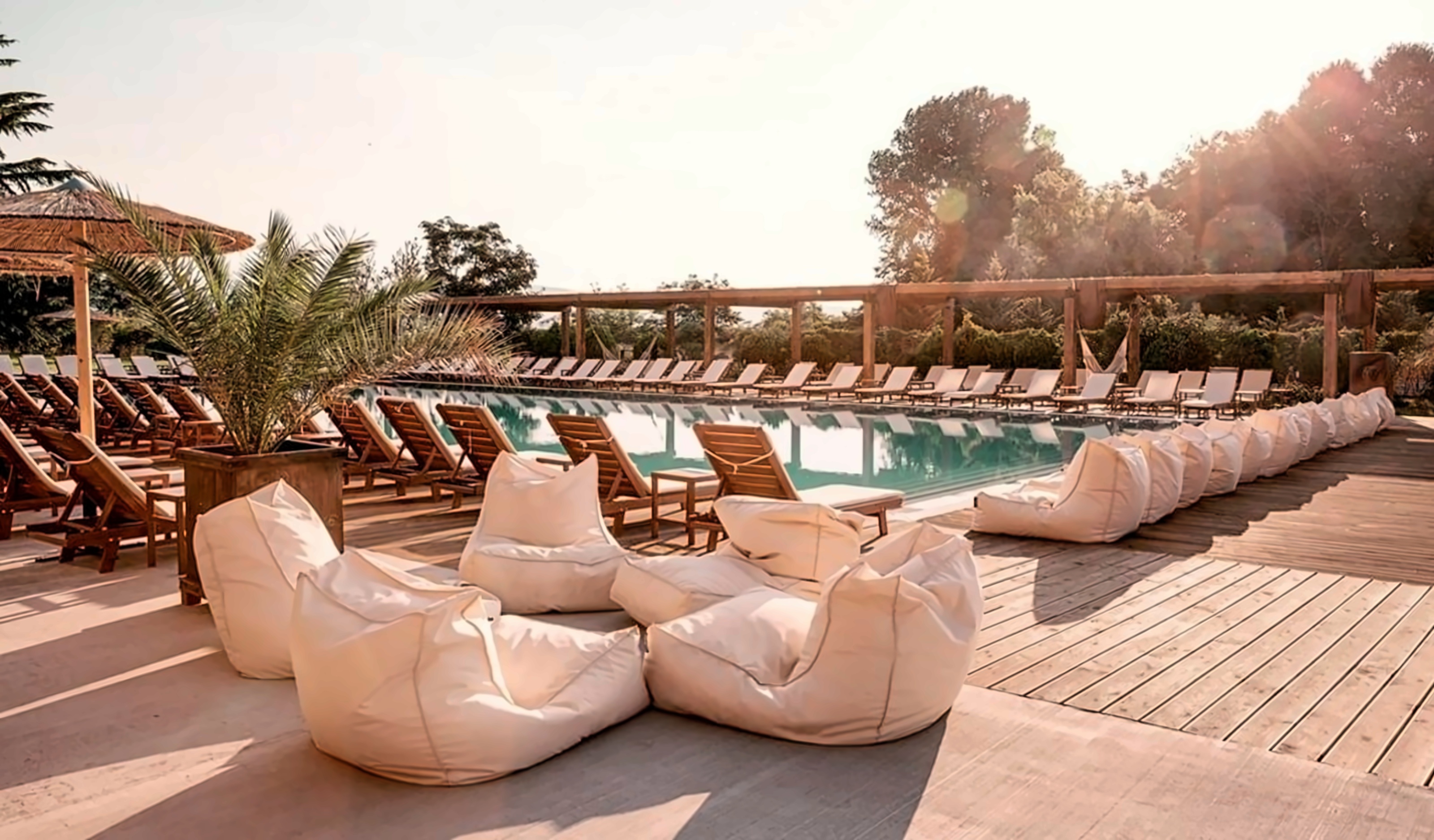 Sunny Beach Club /former Cooks Club/ (Adults Only 16+) pilt 3